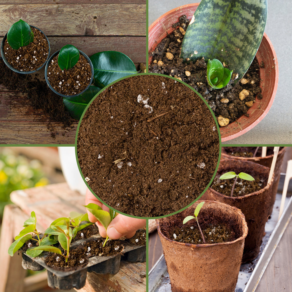 Plant Propagation Potting Mix - SSVarPlantProp