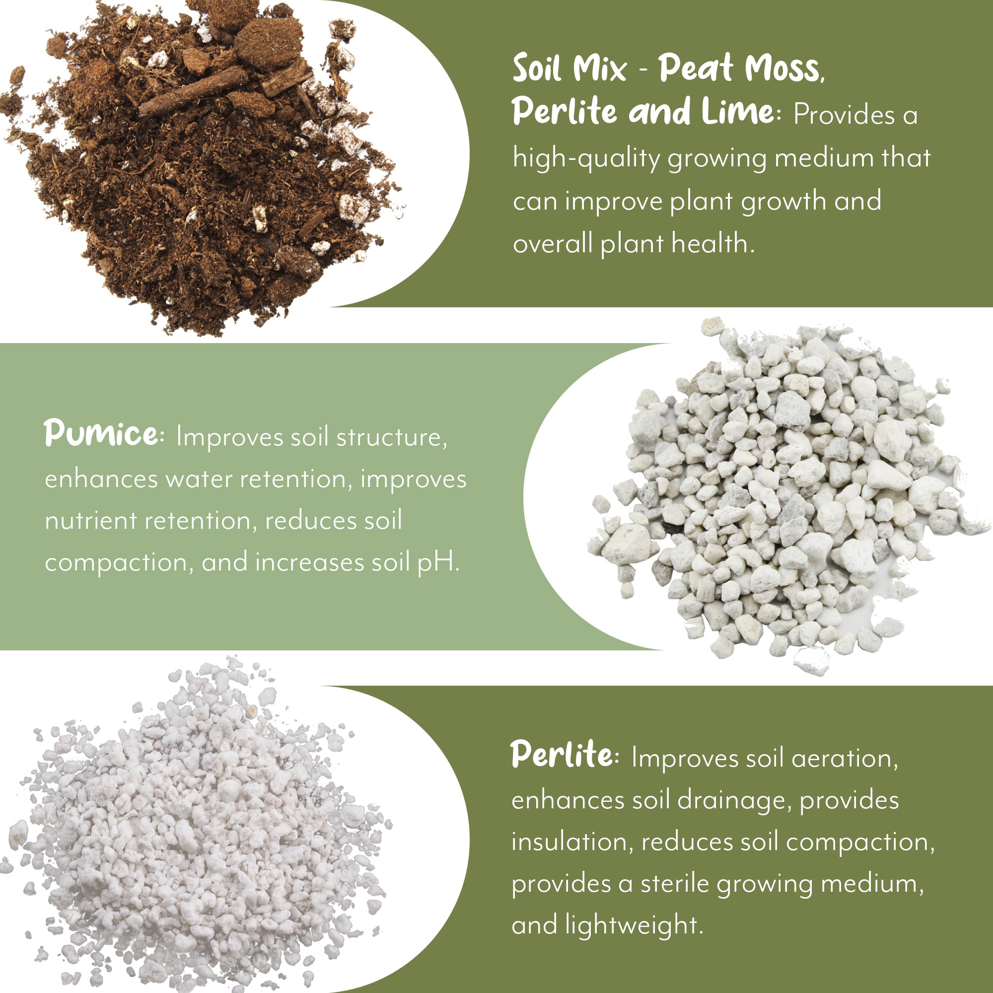 olive tree soil potting mix Olive Tree Potting Soil Mix
