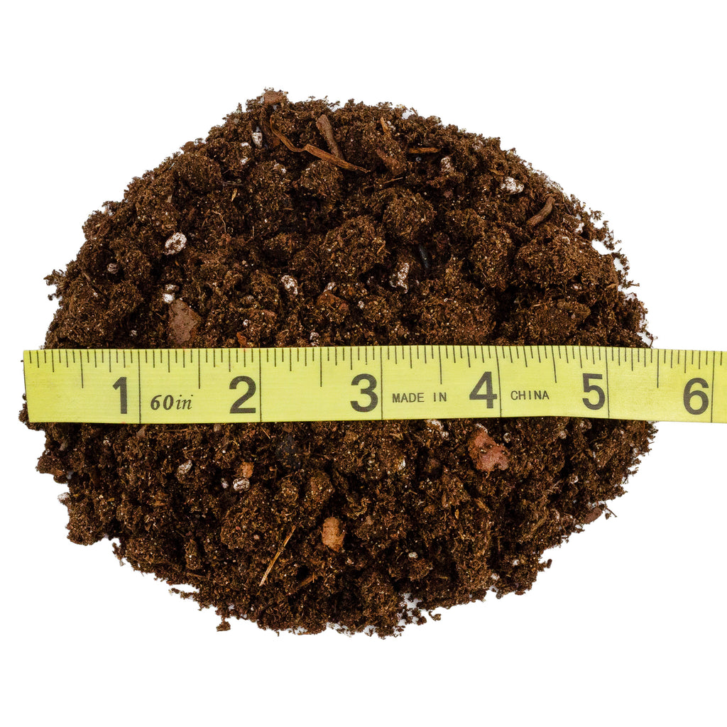 Fern Plant Potting Soil Mix (2 Quarts) - SSKIT257