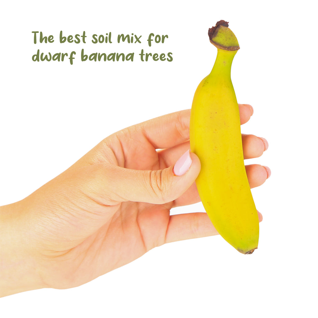 Banana Tree Potting Soil Mix - SSVarBan