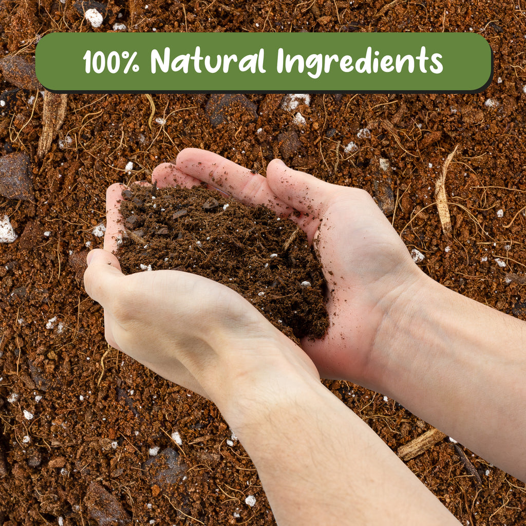 Aroid Plant Potting Mix - SSVarAroid