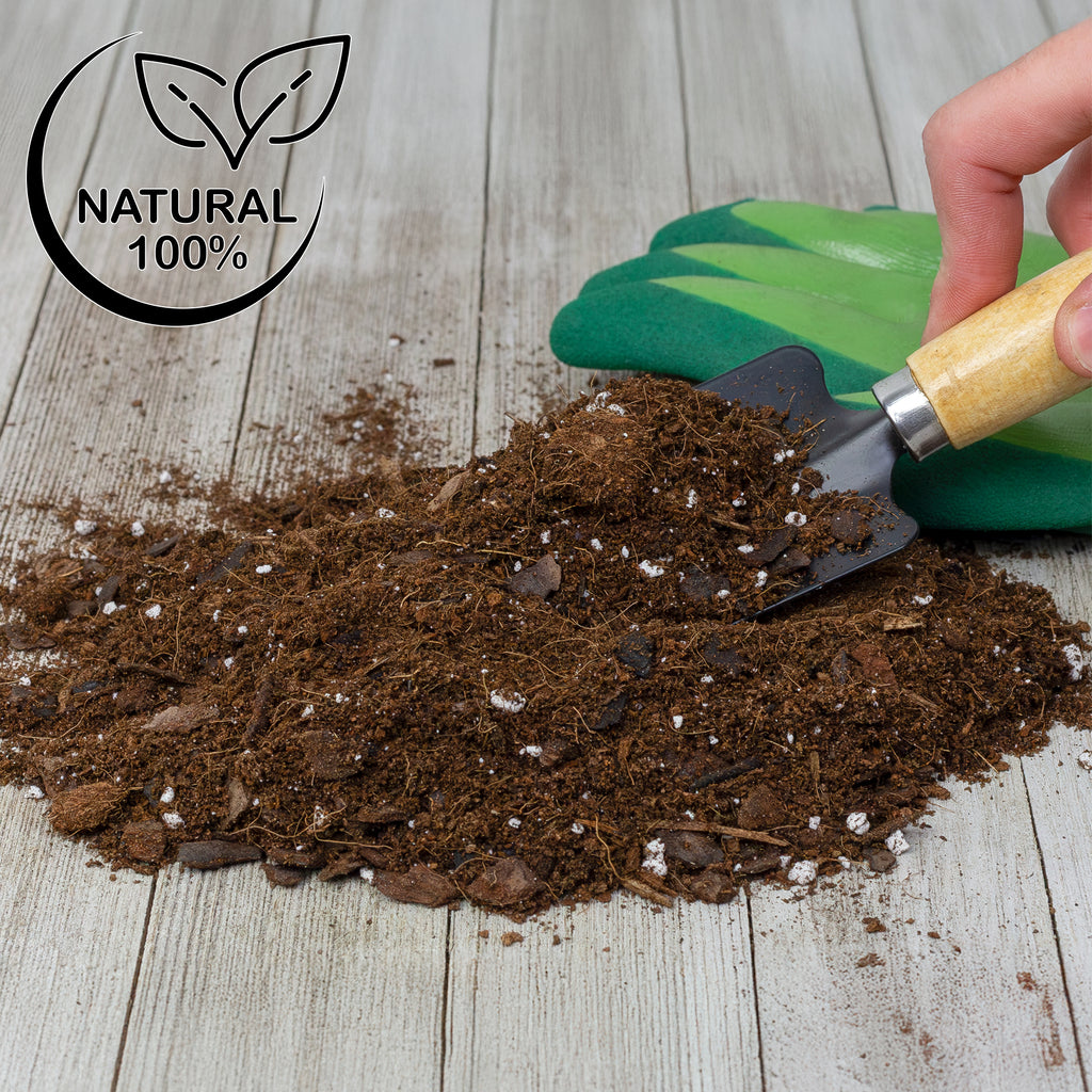 Aroid Plant Potting Mix - SSVarAroid