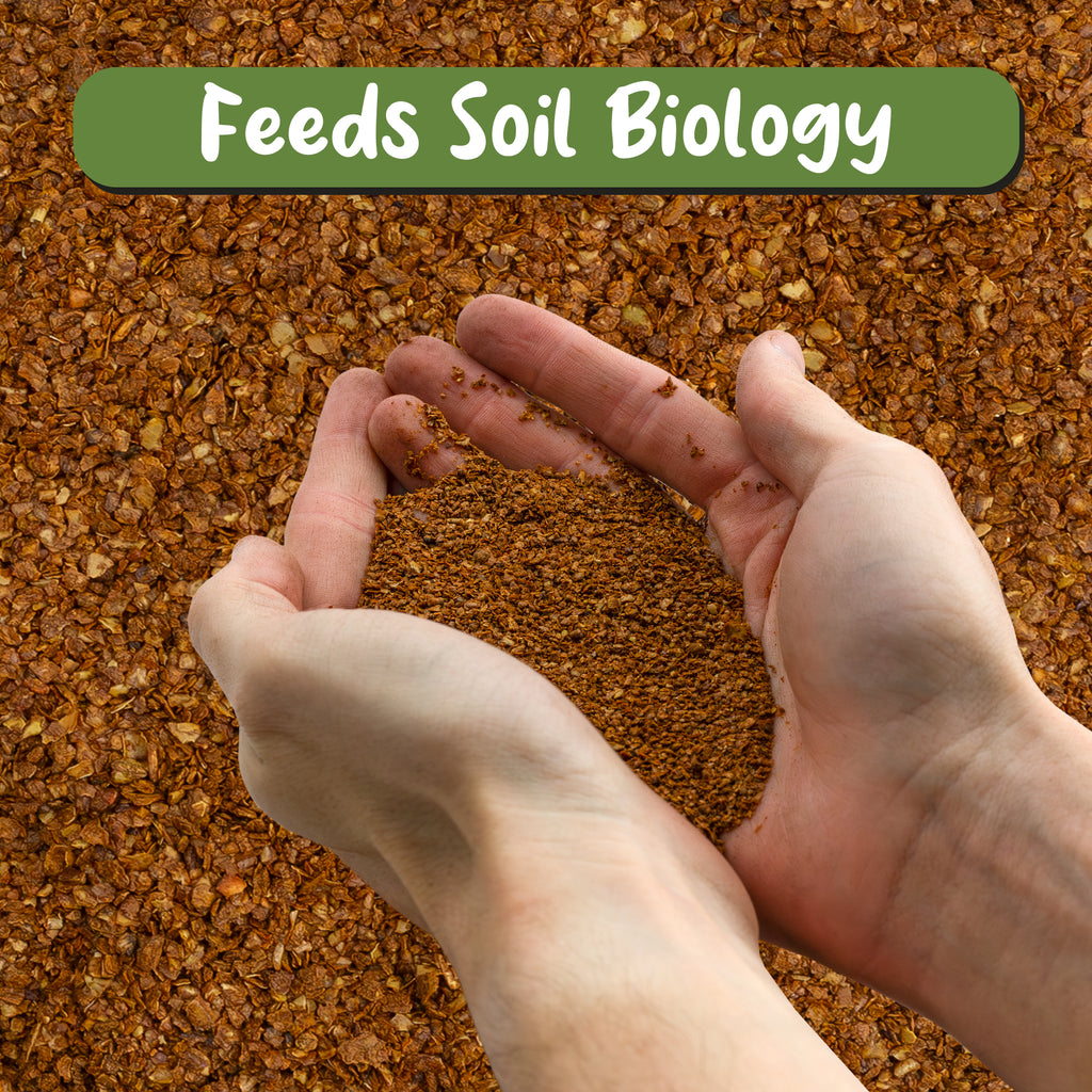Dry Horticultural Molasses Powder - VarAmendment