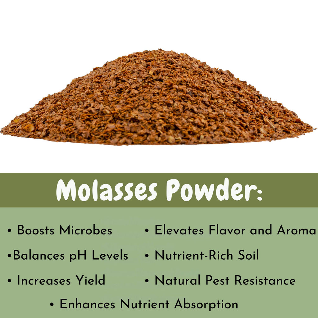 Dry Horticultural Molasses Powder - VarAmendment