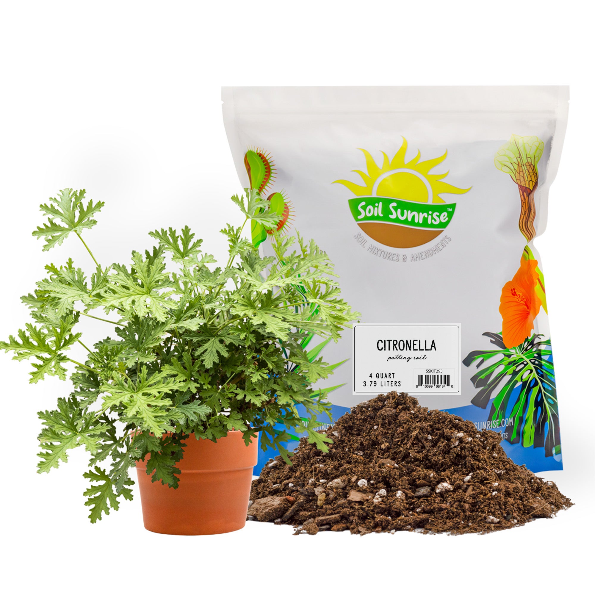 citronella plant indoor Citronella Plant Potting Soil Mix, for Growing and Repotting Pelargonium Citrosum, Indoor/Outdoor Container Gardening – Kurated Korner