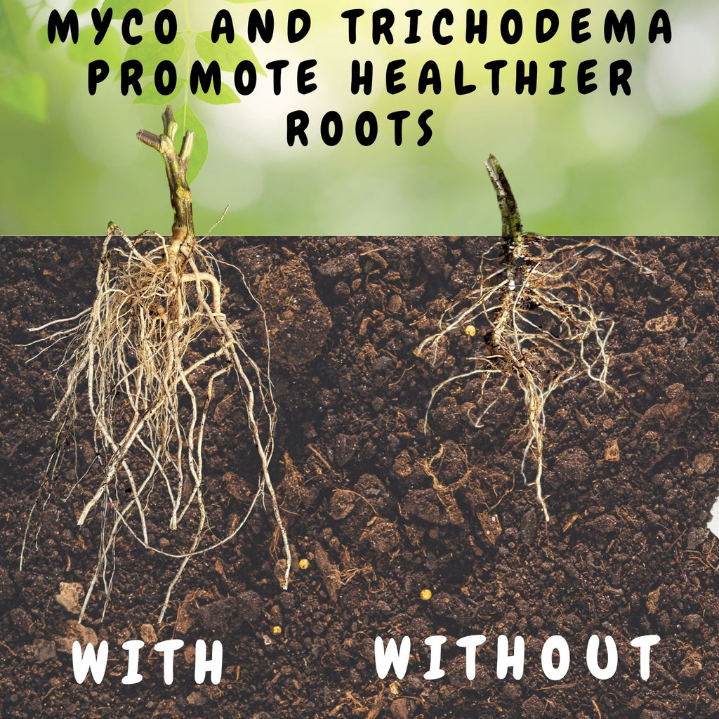 Potting Soil with Mycorrhizae (4 Quarts) - SSKIT298