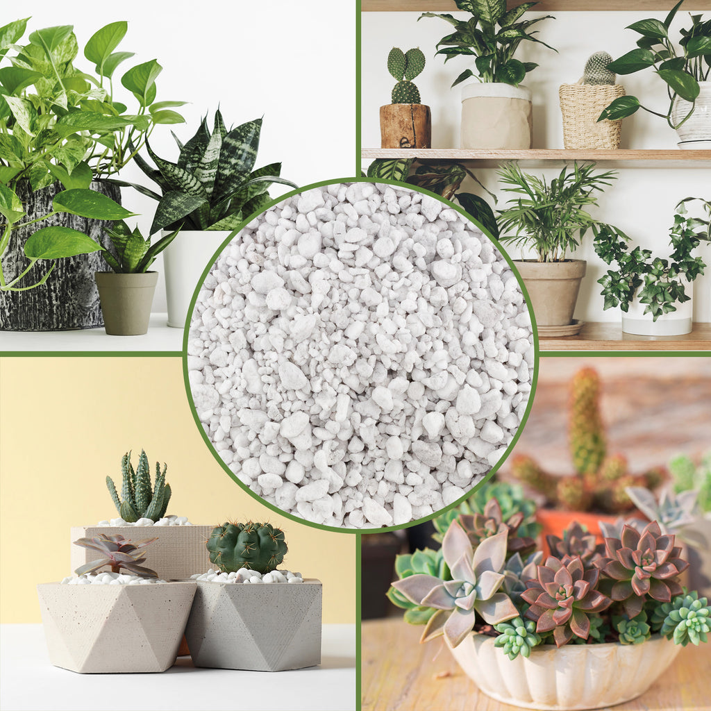 Coarse Perlite for Plants - SSVarPerlCC