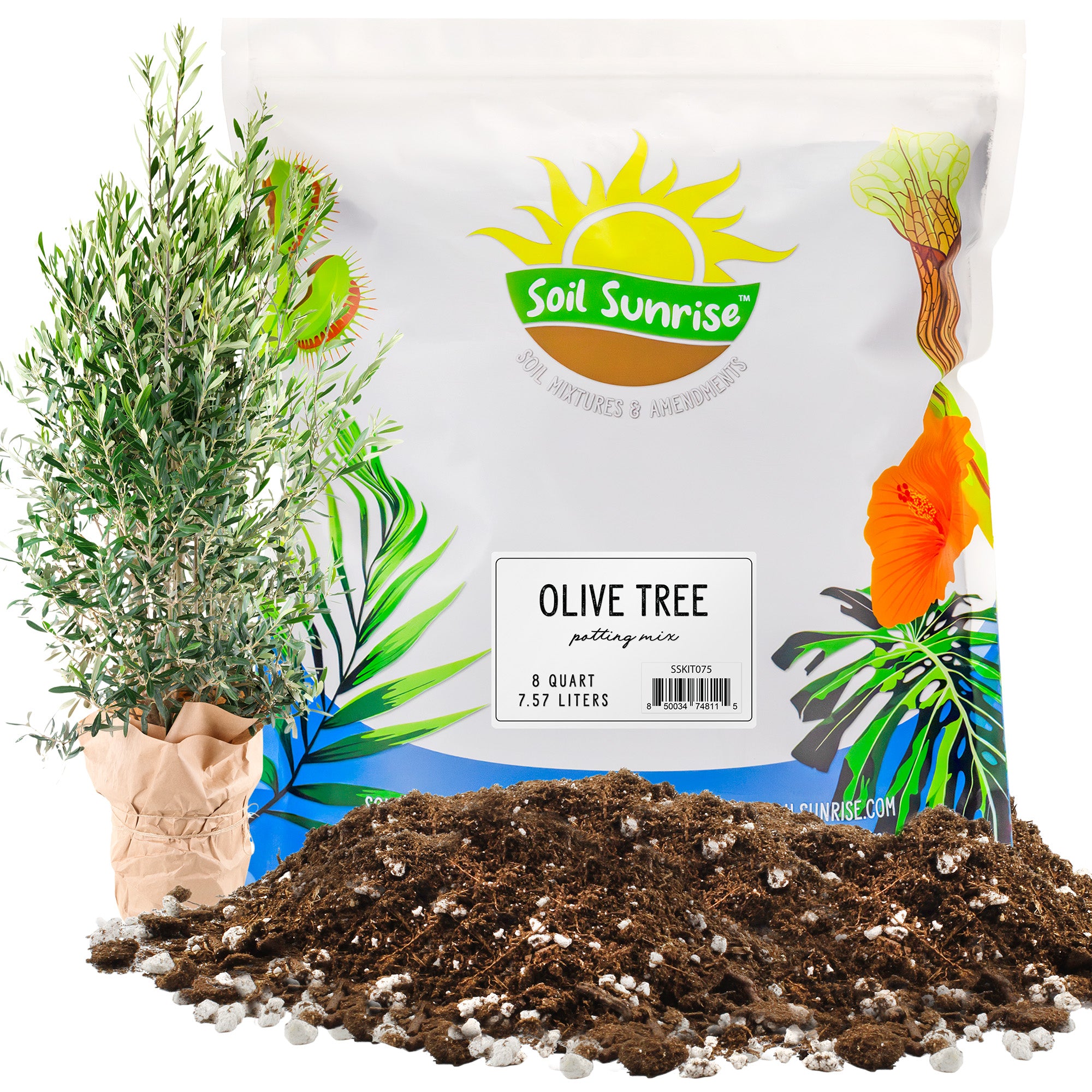 potting mix for trees Olive Tree Potting Soil Mix