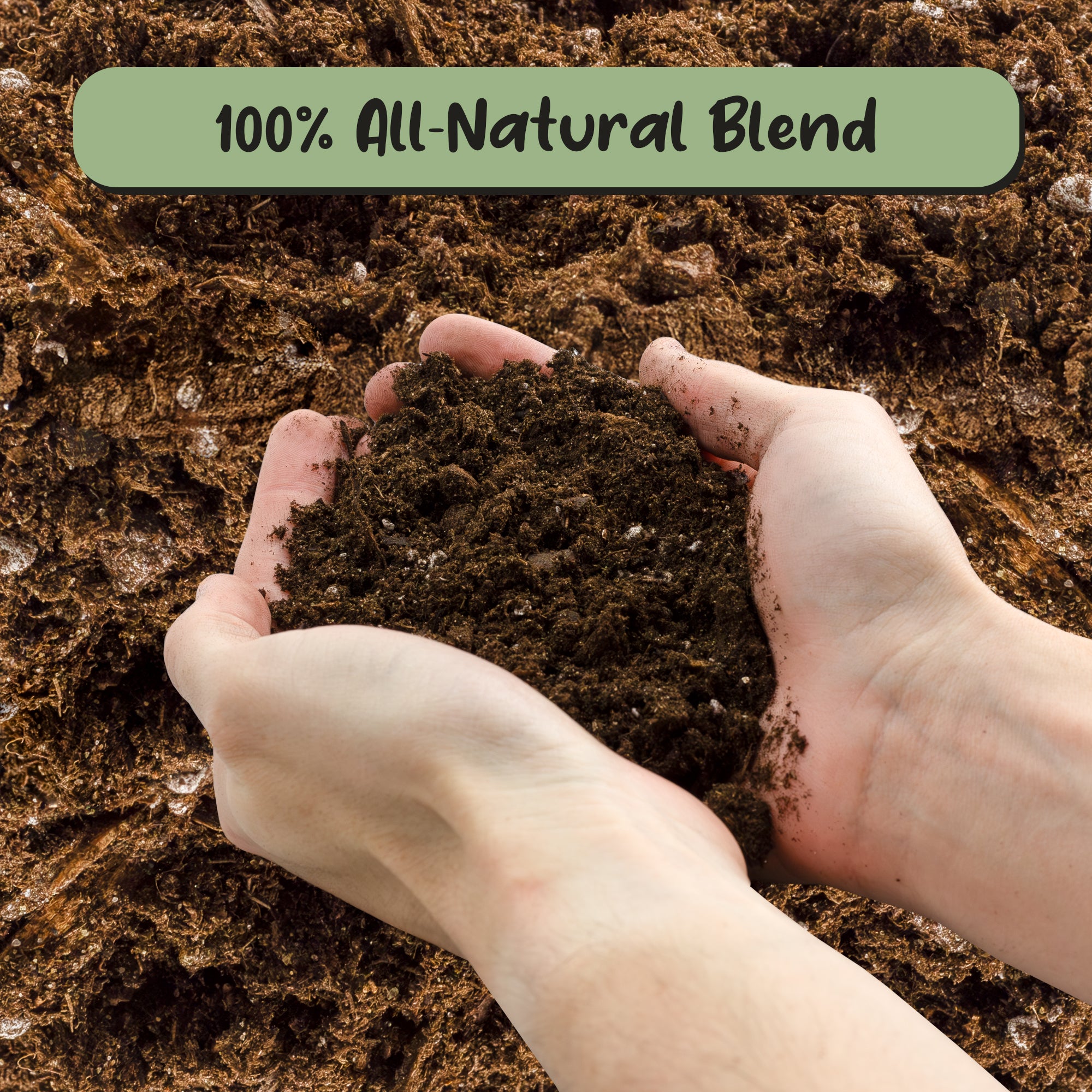 potting soil for banana plants Banana Tree Potting Soil Mix, Hand Blended Mixture for Banana Plants – Kurated Korner