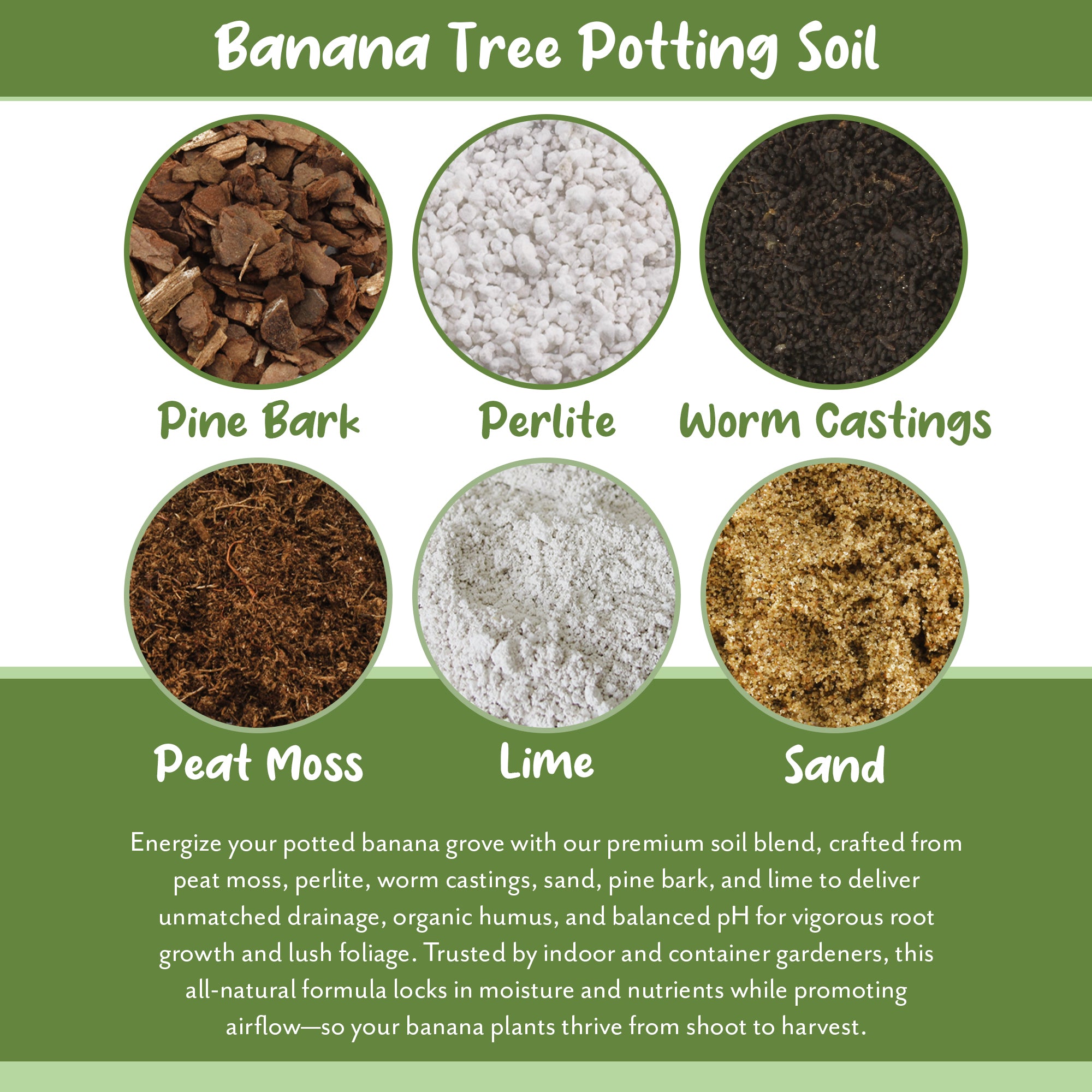 thrive potting mix Banana Tree Potting Soil Mix, Hand Blended Mixture for Banana Plants – Kurated Korner