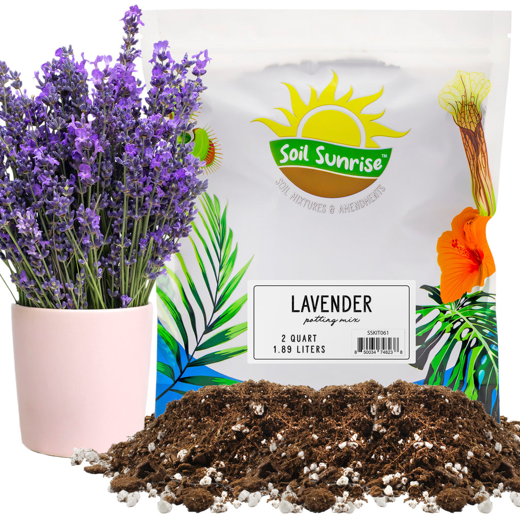 Lavender Potting Soil Mix (2 Quarts) - SSKIT061