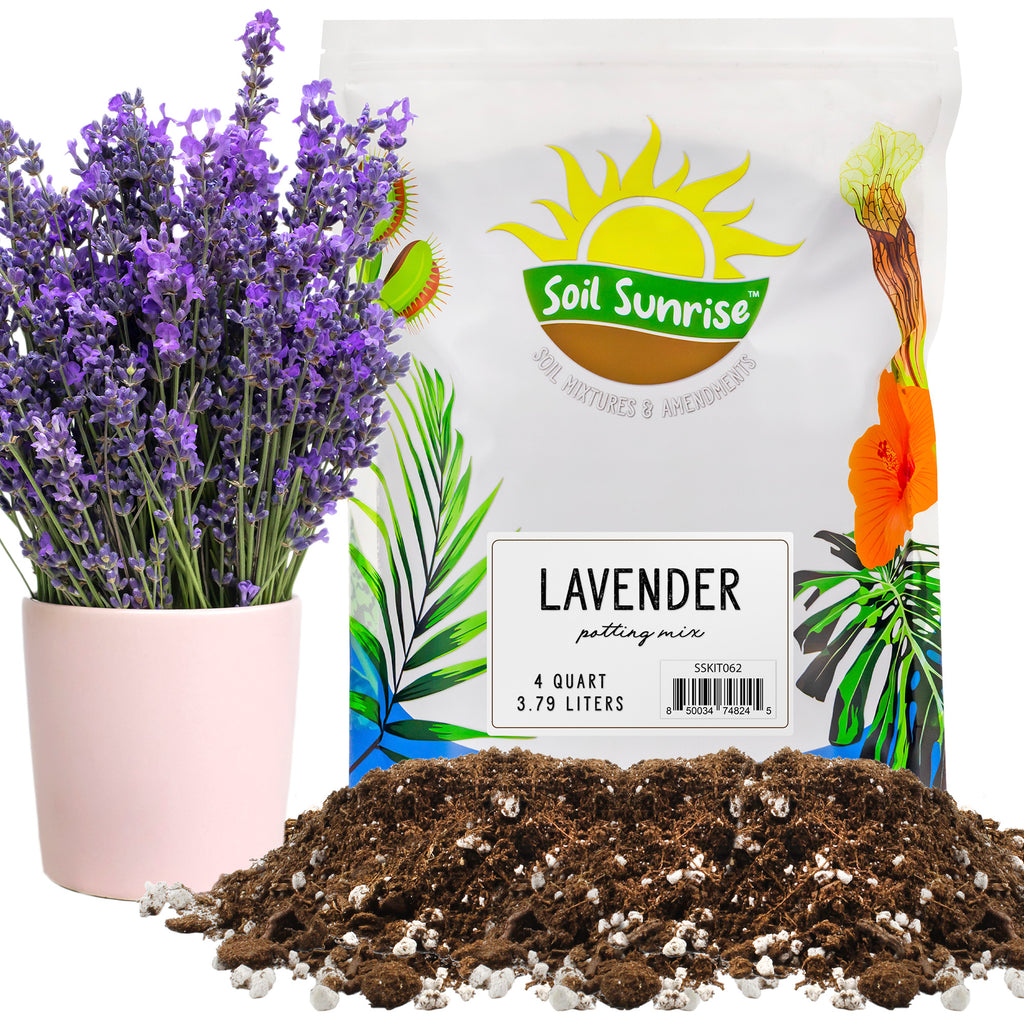 Lavender Potting Soil Mix (4 Quarts) - SSKIT062