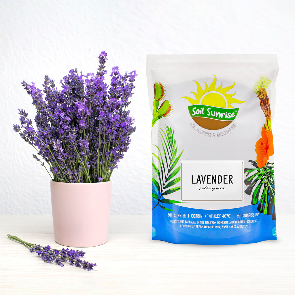 Lavender Potting Soil Mix - SSVarLav