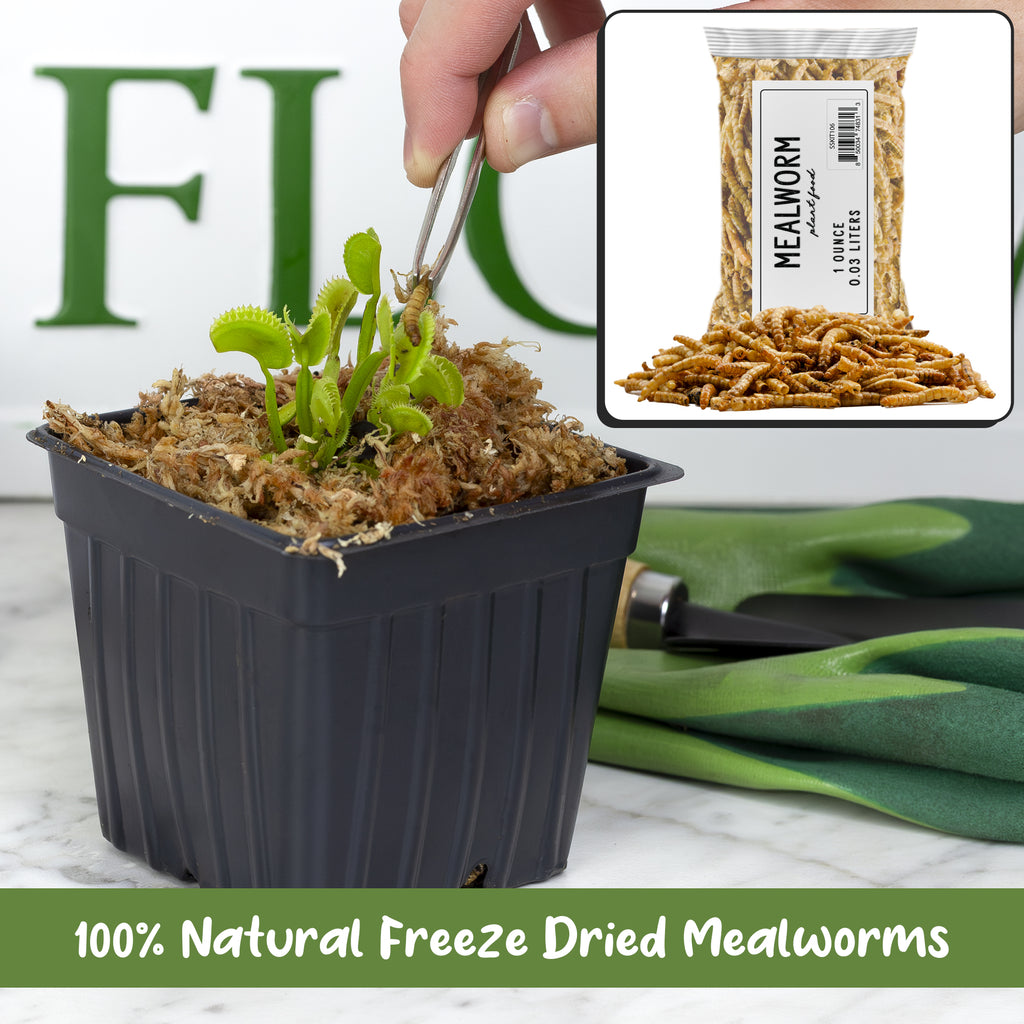Carnivorous Plant Food Dried Mealworms (1oz) - SSKIT106