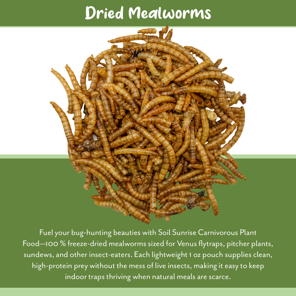 Carnivorous Plant Food Dried Mealworms (1oz) - SSKIT106