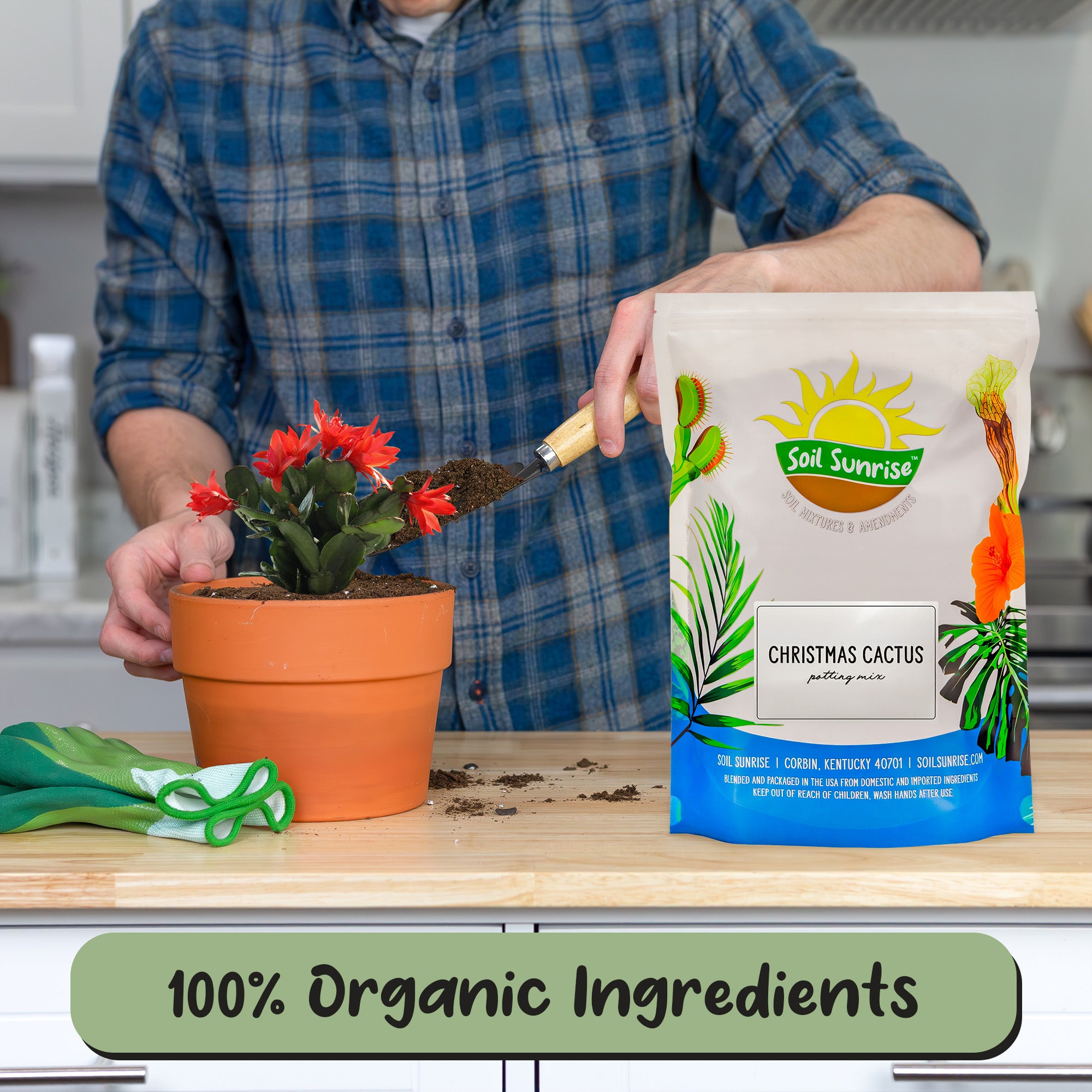best soil for christmas cactus Christmas Cactus Potting Soil Mix, Custom Blend for Xmas, Easter, and Thanksgiving Cactus Tropical Indoor Houseplants – Kurated Korner
