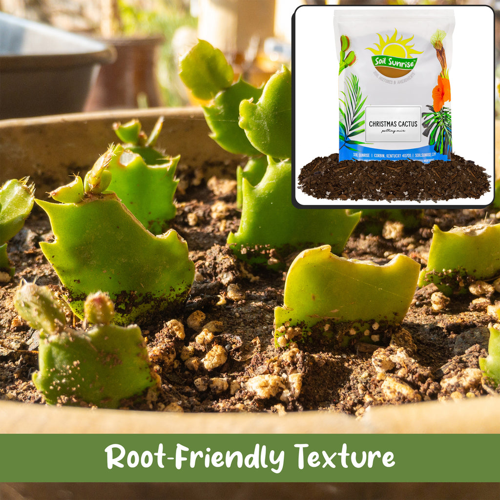 Christmas Cactus Potting Soil Mix - SSVarXmasCact