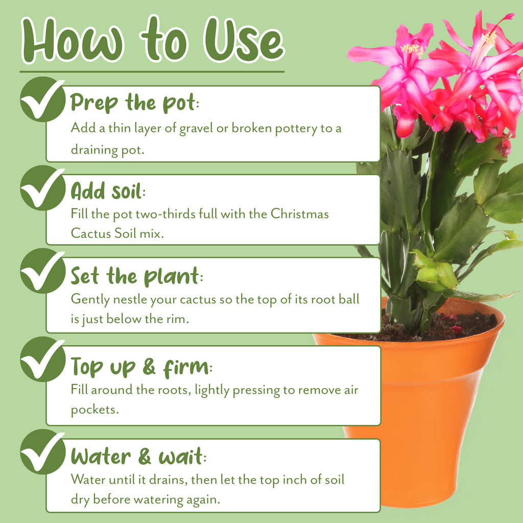 Christmas Cactus Potting Soil Mix - SSVarXmasCact