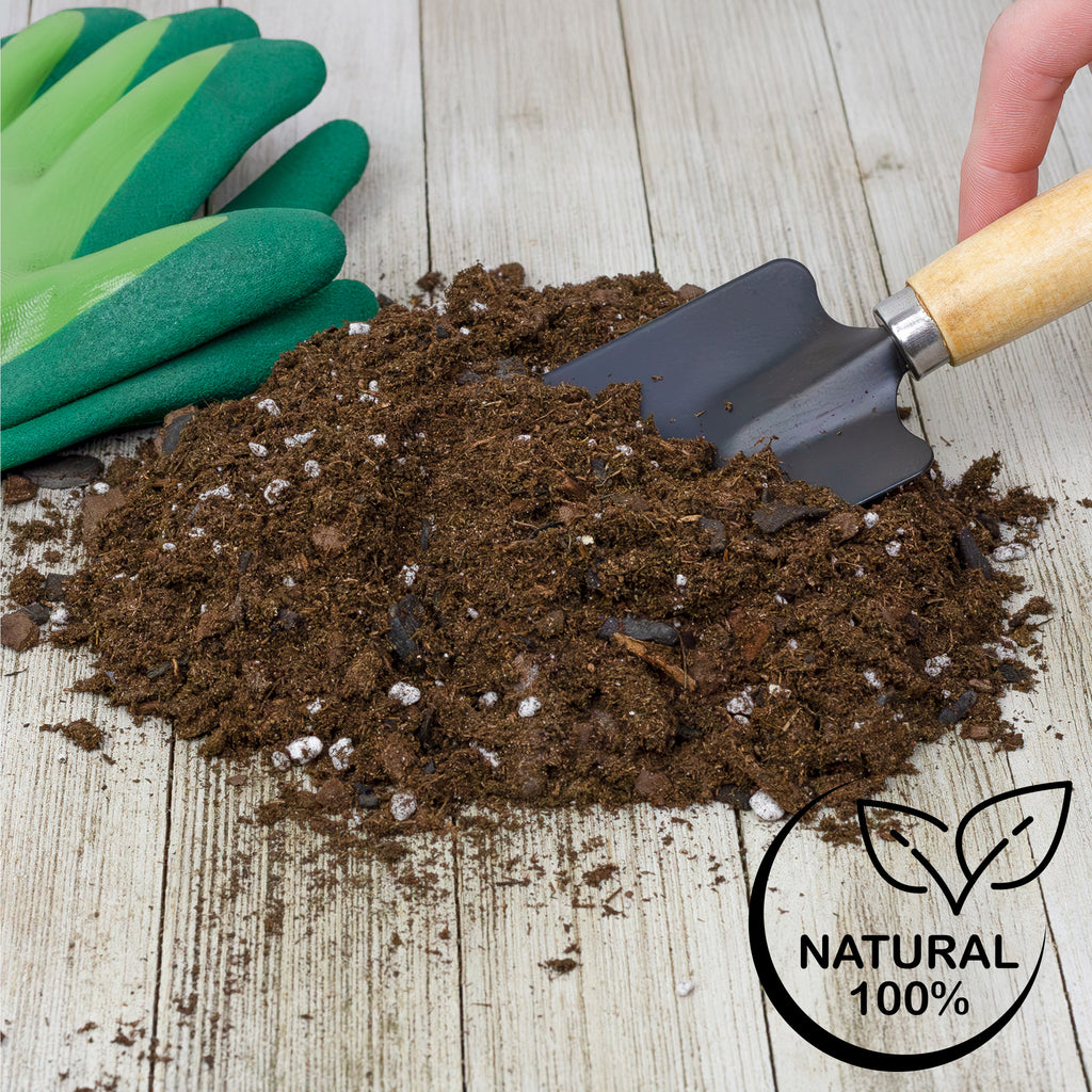 Christmas Cactus Potting Soil Mix - SSVarXmasCact