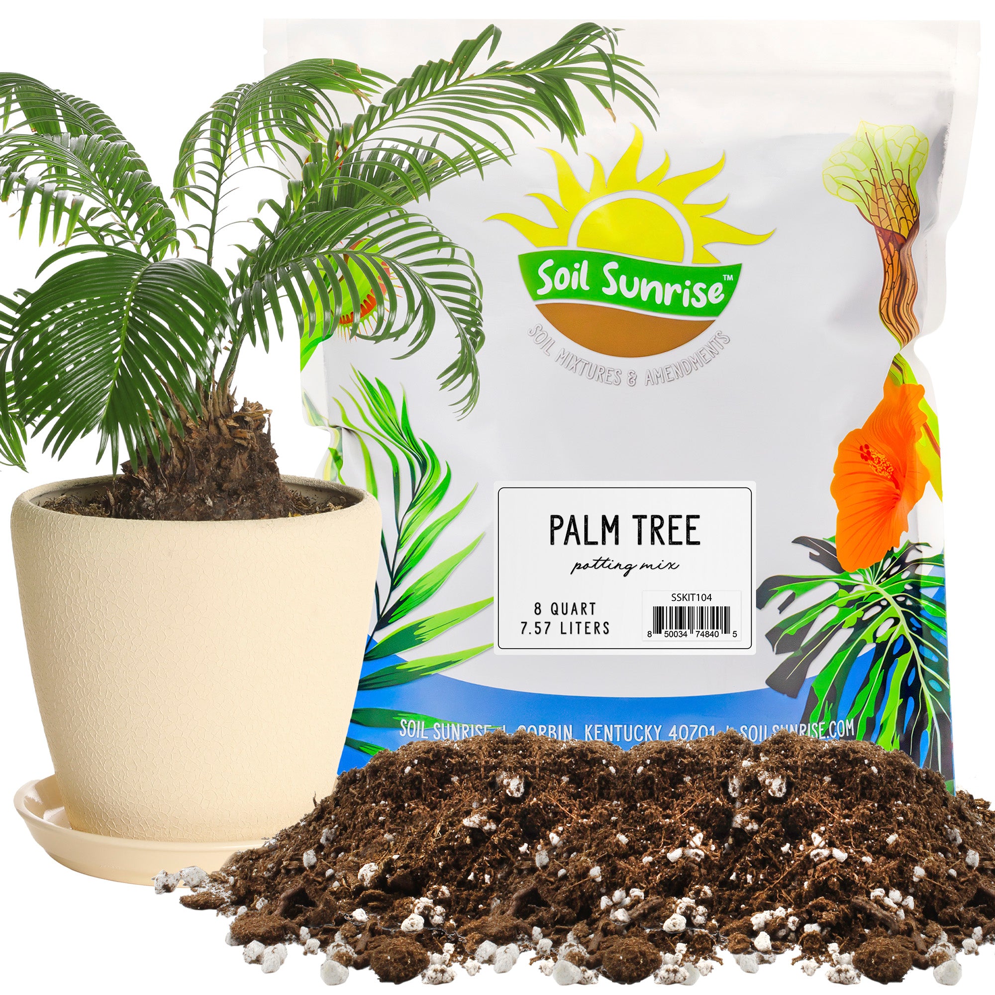 best soil for planting palm trees All Purpose Palm Potting Soil (8 Quarts)