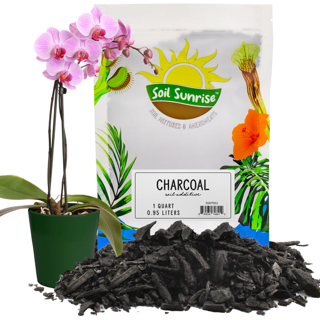 Horticultural Charcoal for Indoor Plants (1 Quart) - SSKIT052