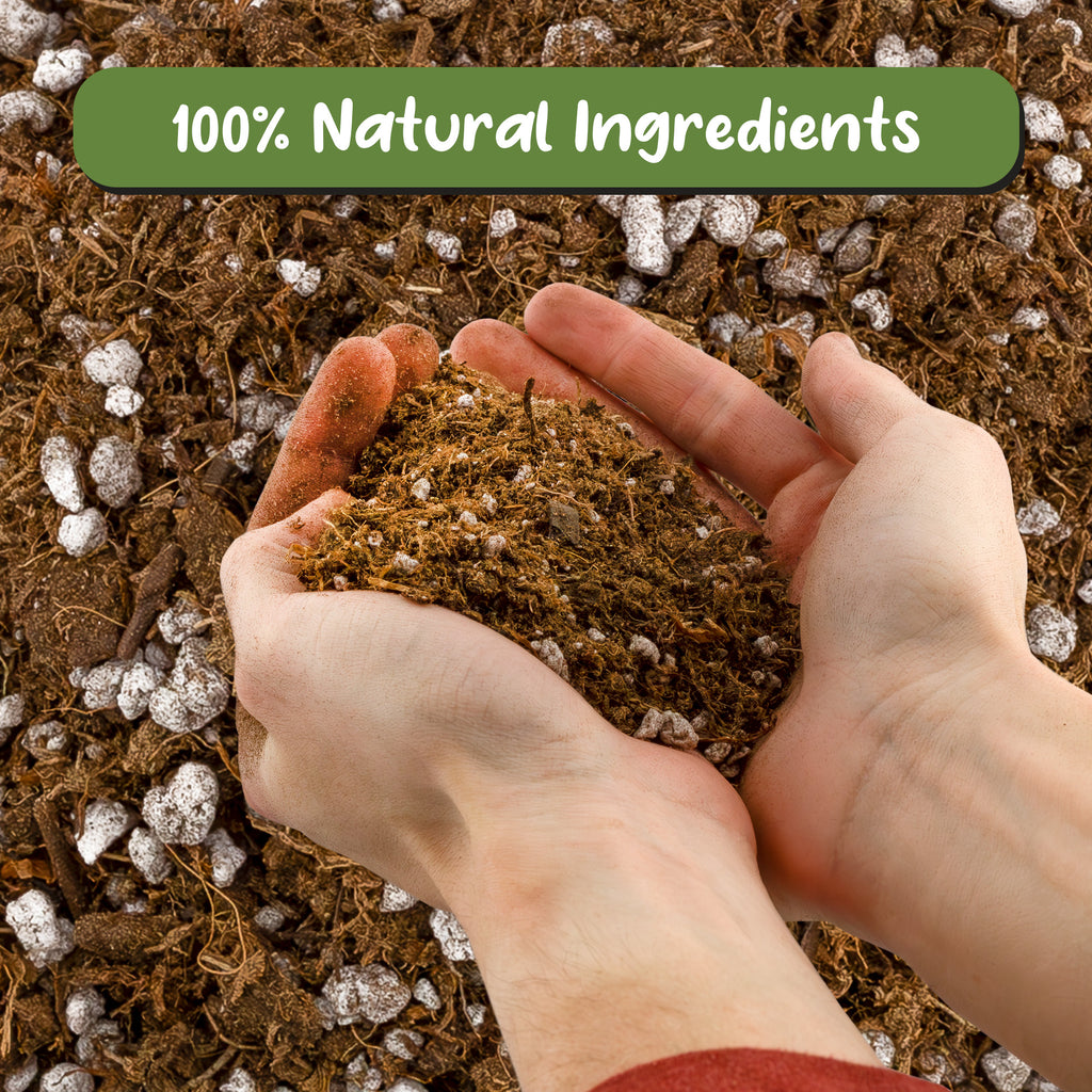 Carnivorous Plant Potting Soil Mix, Choose Size - SSVarCarn