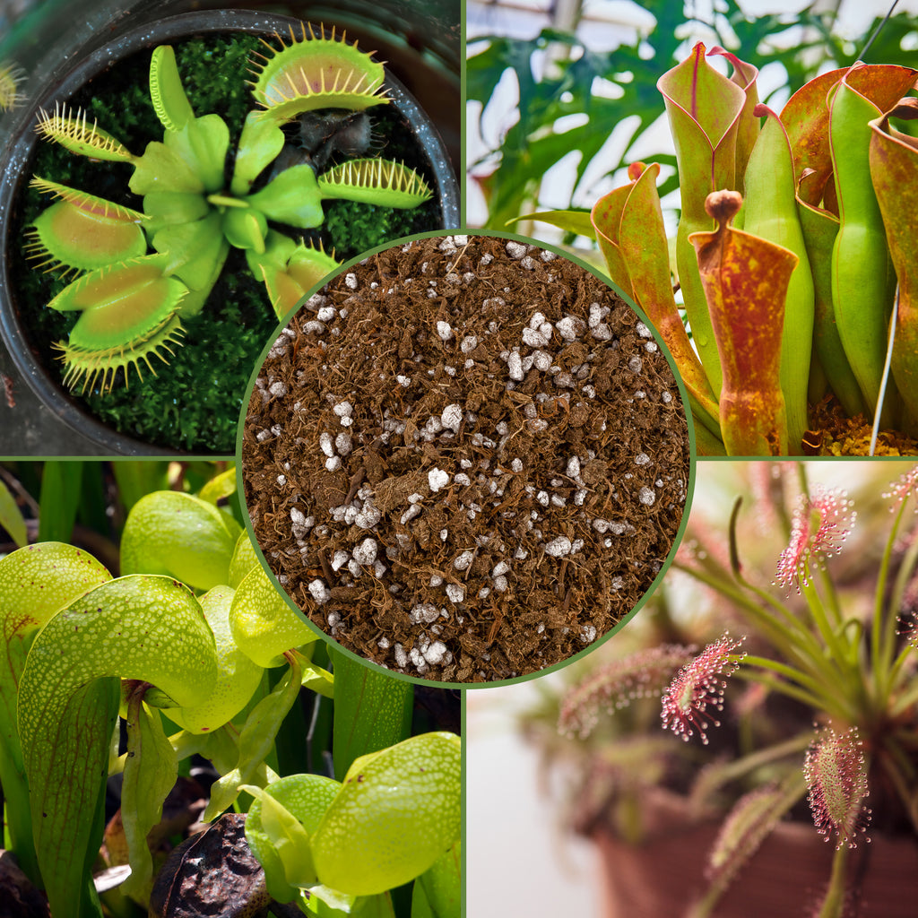 Carnivorous Plant Potting Soil Mix, Choose Size - SSVarCarn