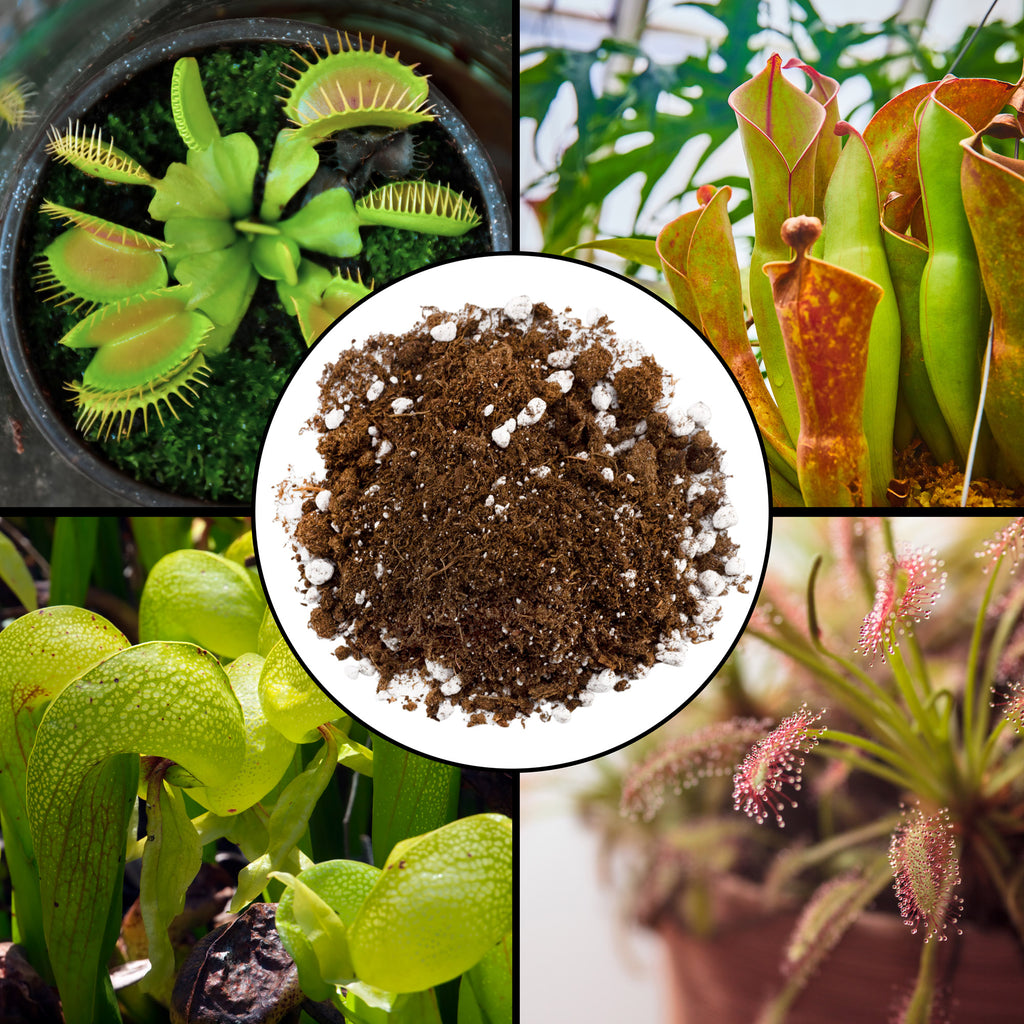 Carnivorous Plant Potting Soil Mix, Choose Size - SSVarCarn