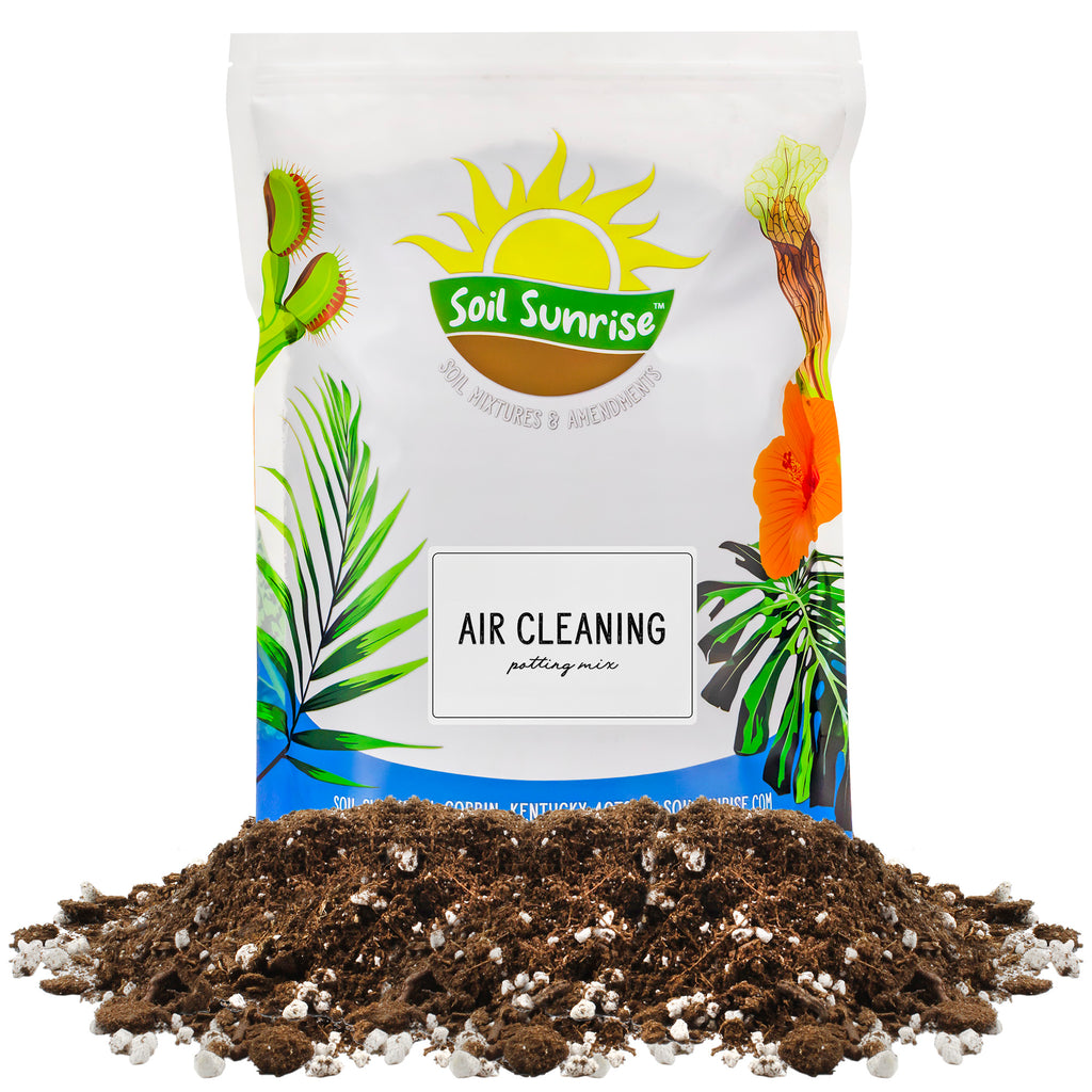 Air Cleaning Plant Potting Mix - SSAirClean