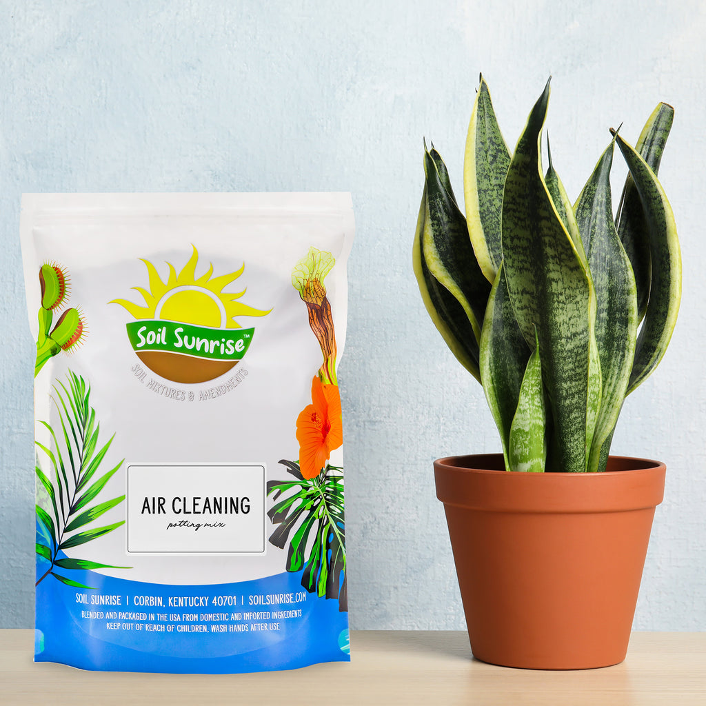 Air Cleaning Plant Potting Mix - SSAirClean