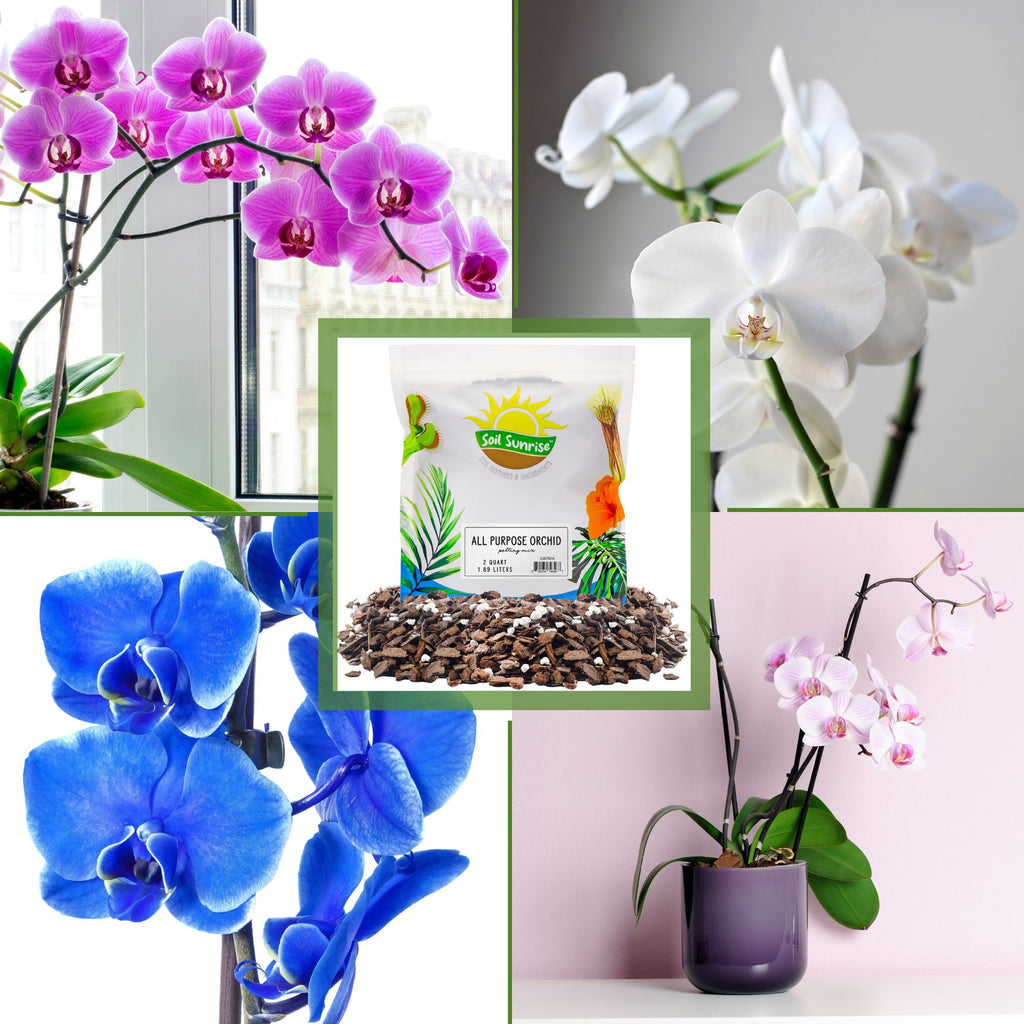All Purpose Orchid Potting Mix (4 Quarts) - SSKIT077