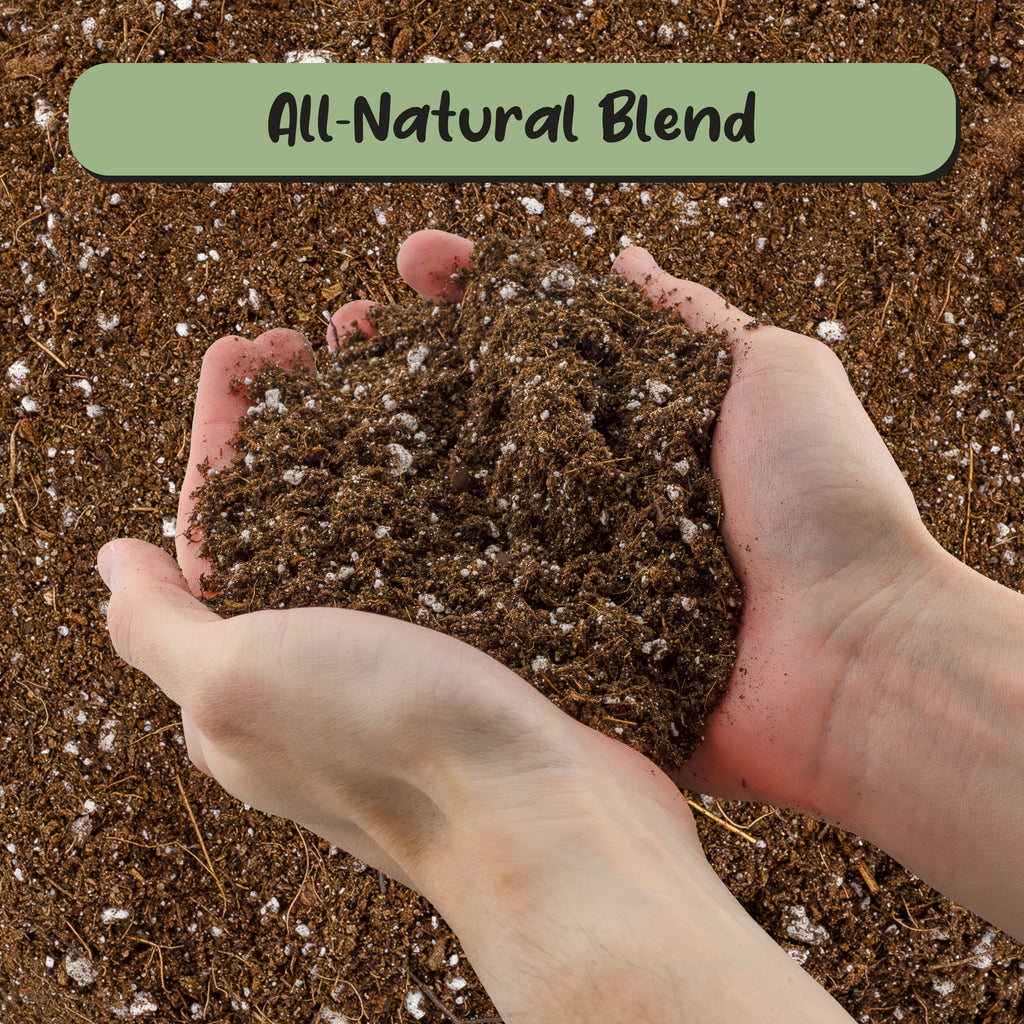 Desert Rose Potting Soil Mix - SSVarDesRose