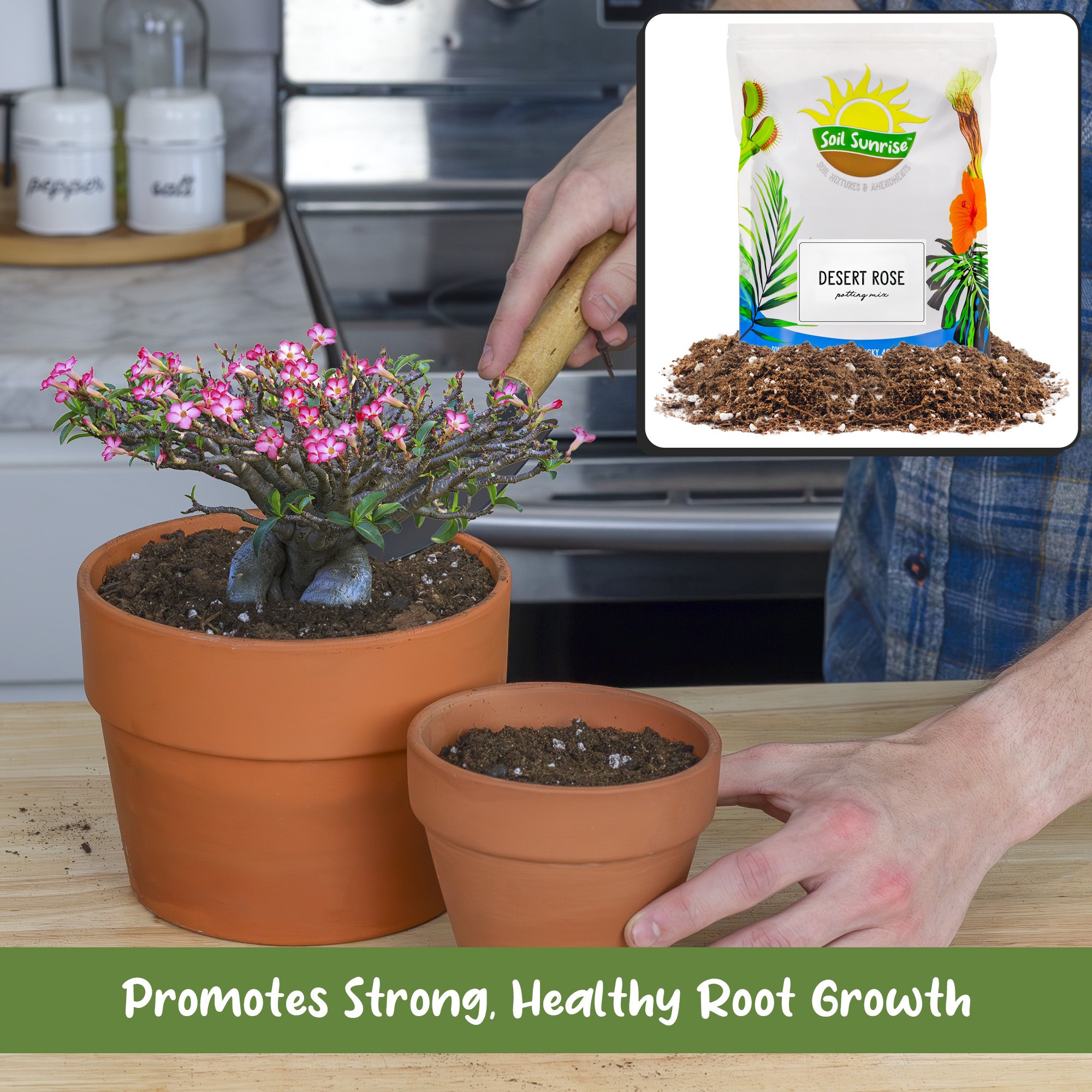 best potting mix for rose cuttings Desert Rose Potting Soil Mix, Repot, Sprout and Grow Potted Plants – Kurated Korner