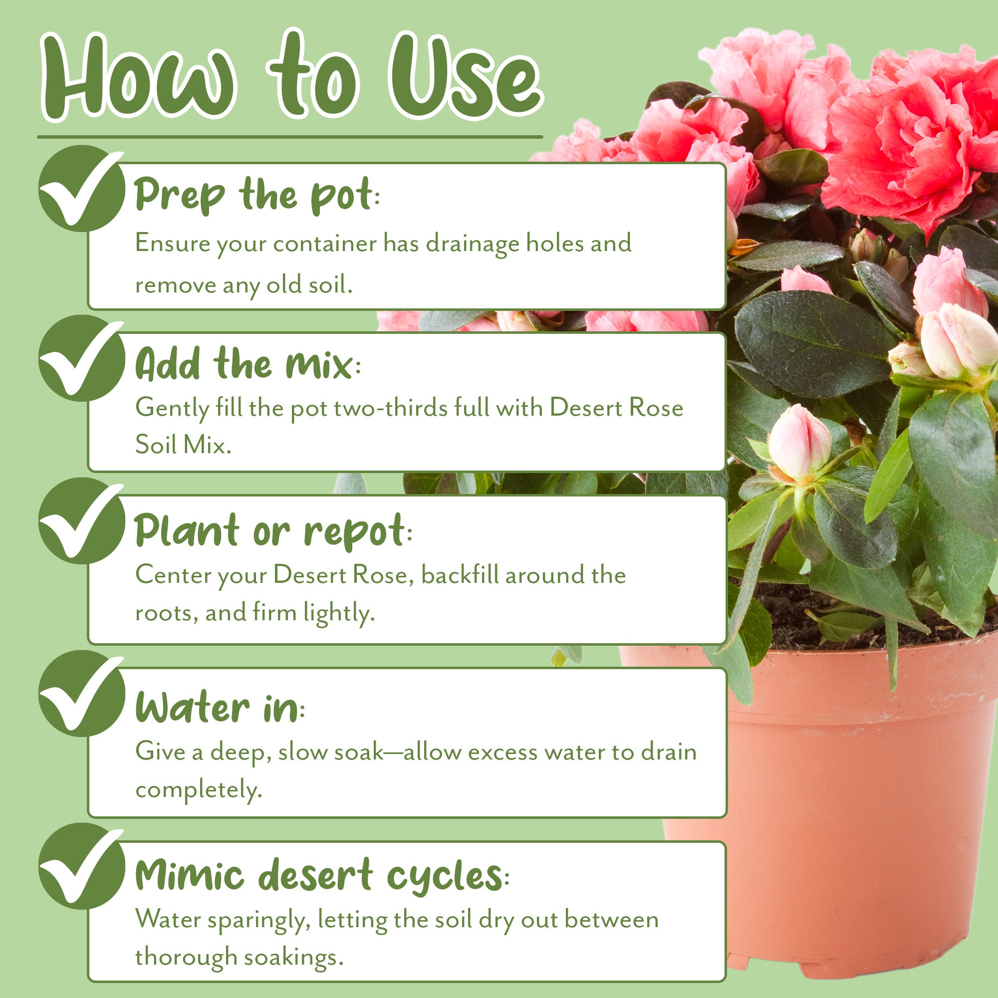 desert rose potting soil mix Desert Rose Potting Soil Mix