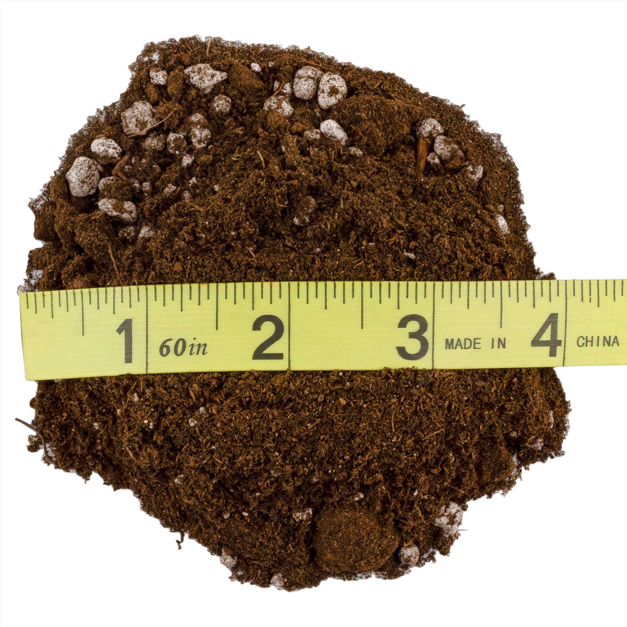 colocasia potting mix Elephant Ear Potting Soil Mix, Colocasia and Alocasia Potted Plant Blend – Kurated Korner