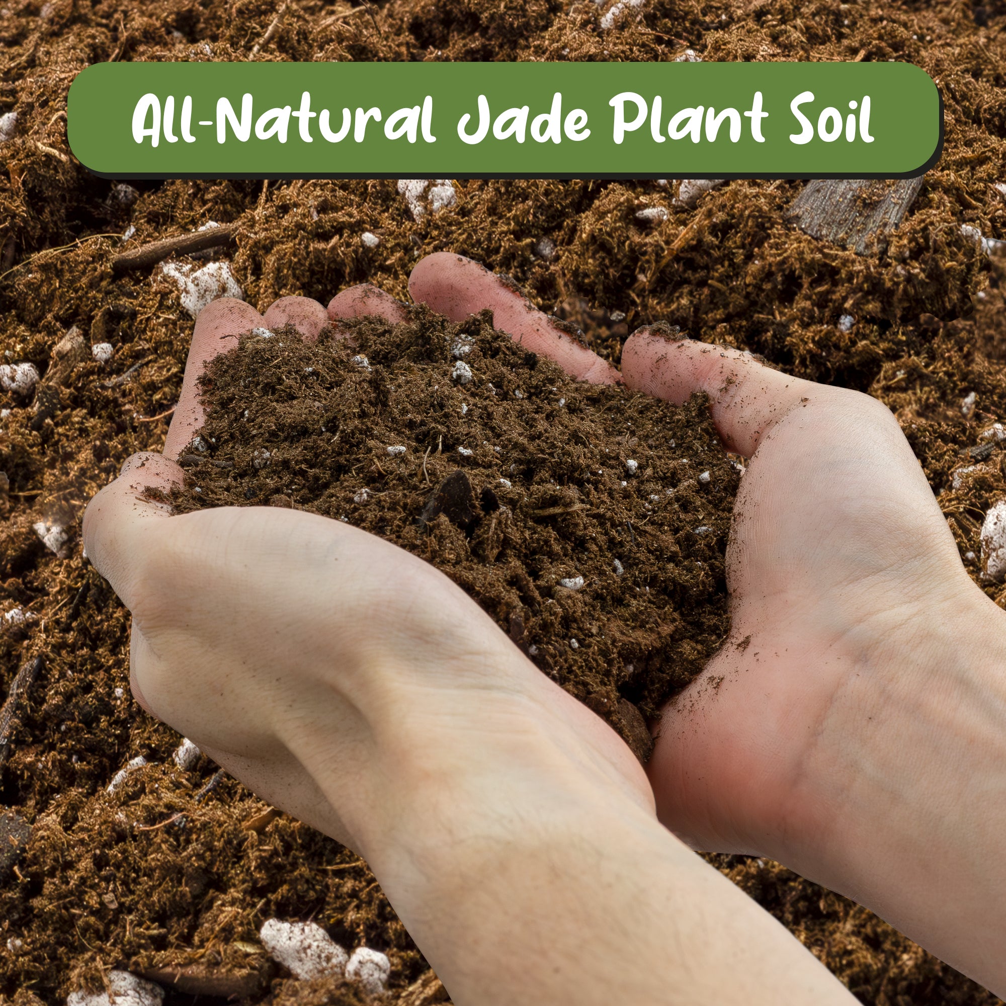 cactus soil for jade plant Jade Plant Potting Soil Mix, Hand Blended Additive for Jade Succulents – Kurated Korner