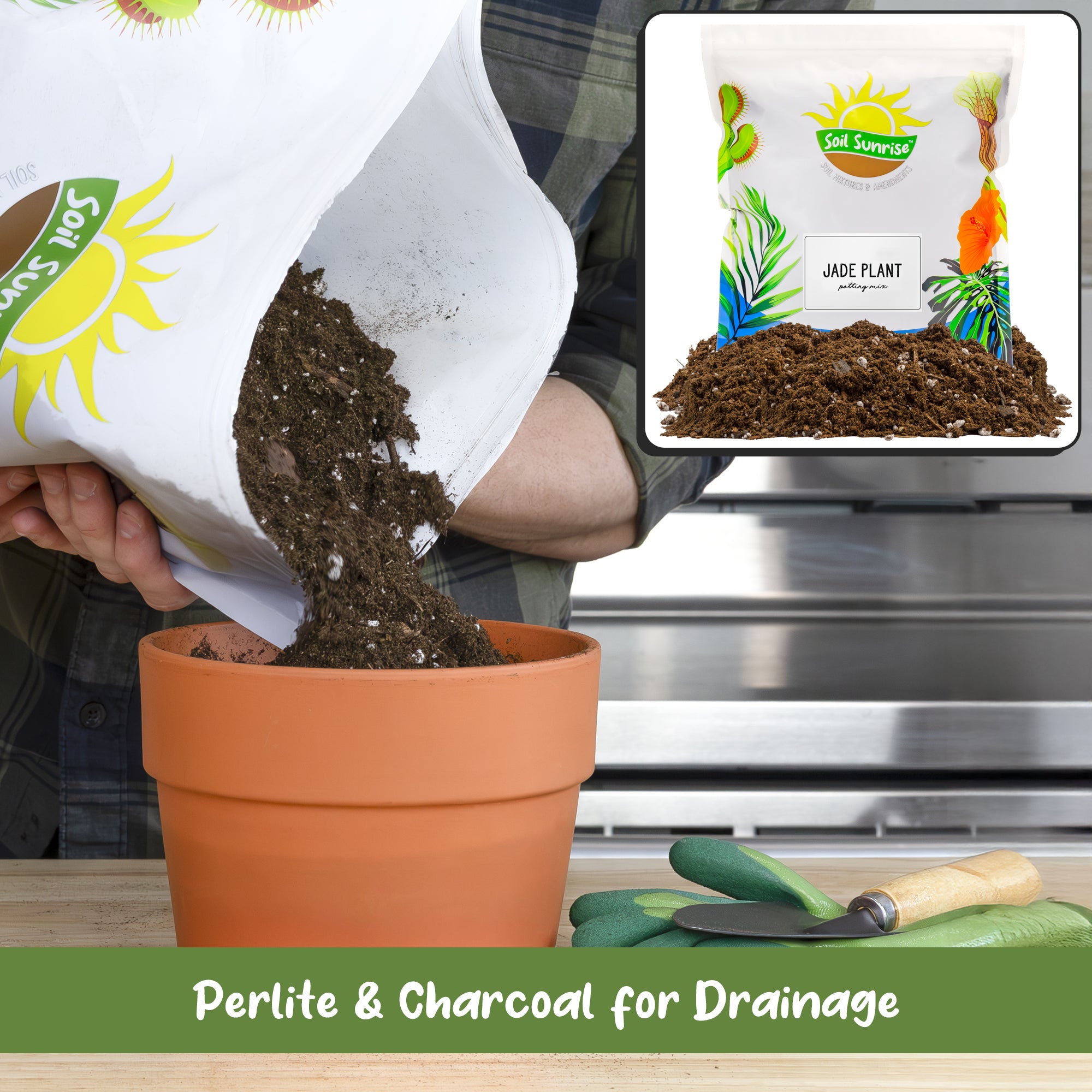 best potting medium for jade plants Jade Plant Potting Soil Mix