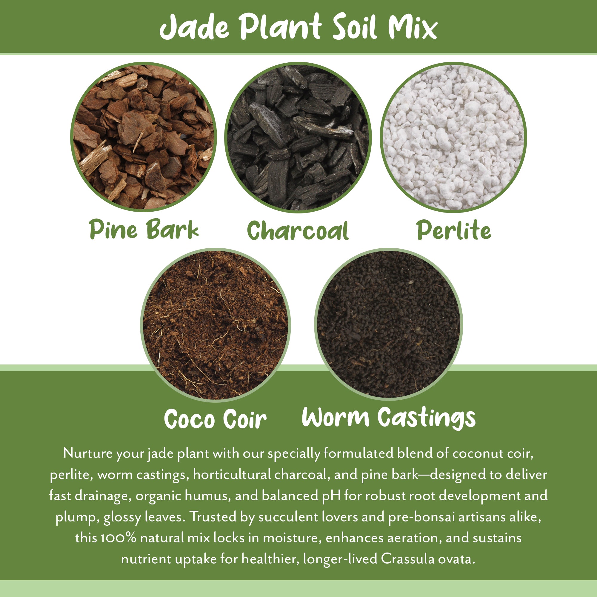 best potting mix for jade plants Jade Plant Potting Soil Mix