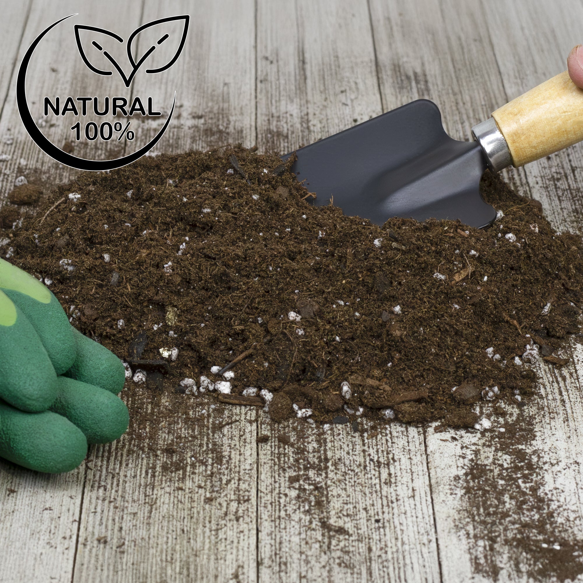 potting medium for jade plant Jade Plant Potting Soil Mix, Hand Blended Additive for Jade Succulents – Kurated Korner