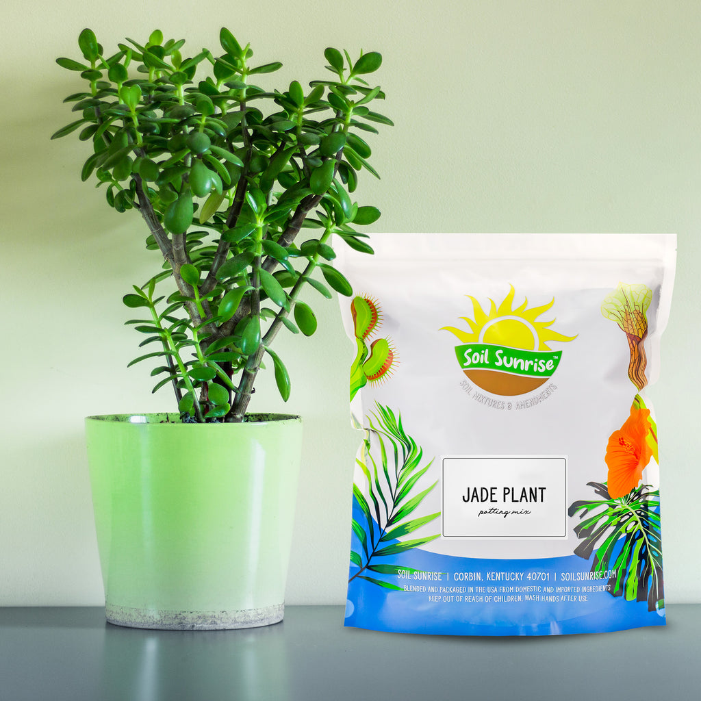 Jade Plant Potting Soil Mix - SSVarJade