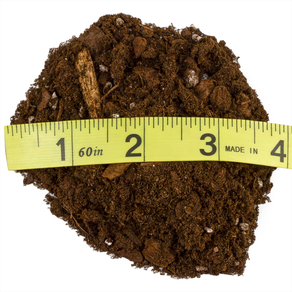Philodendron Plant Potting Soil Mix - SSVarPhil