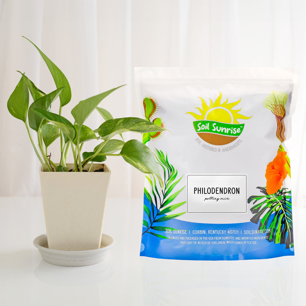 Philodendron Plant Potting Soil Mix - SSVarPhil