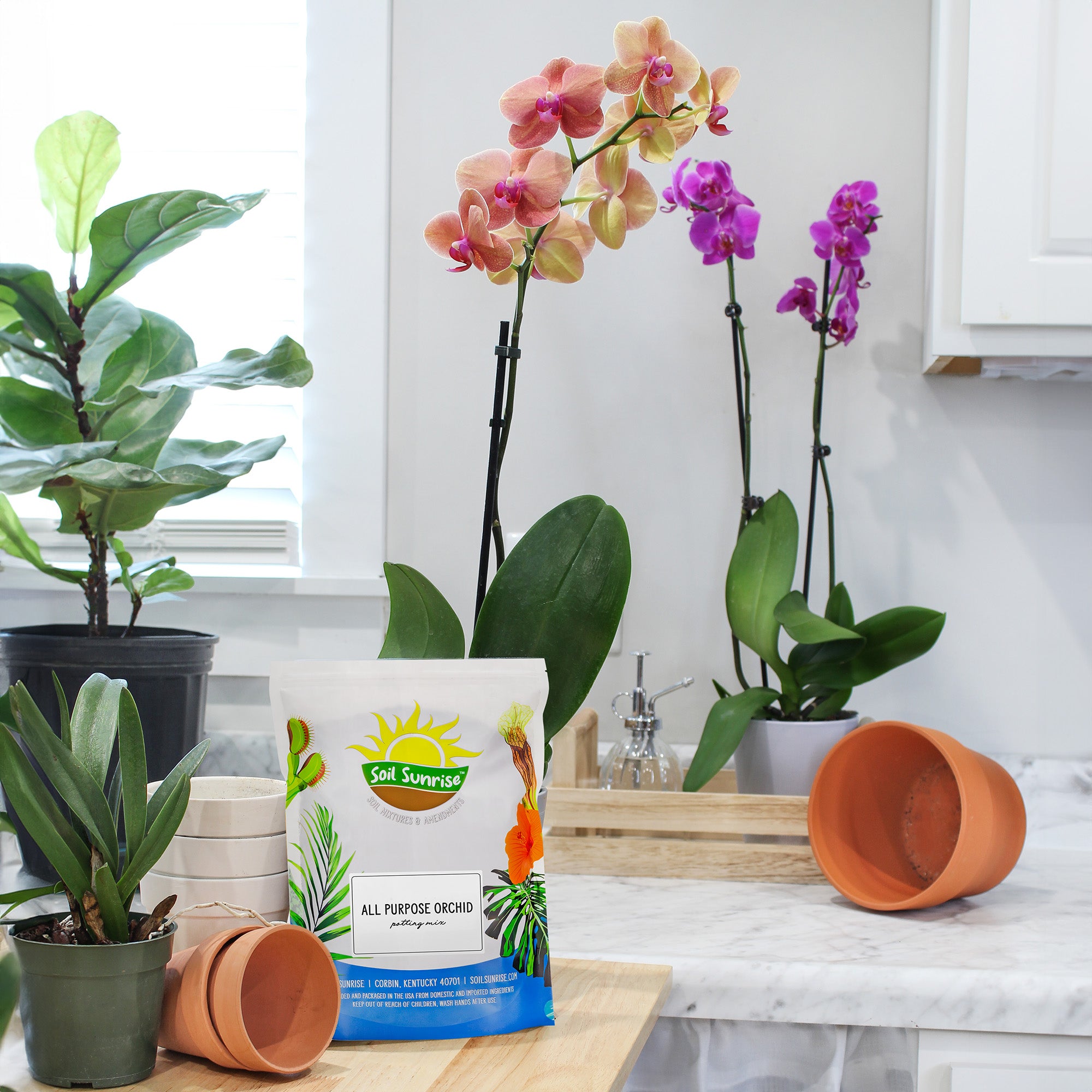 can i use orchid potting mix for other plants All Purpose Orchid Potting Mix, Orchid Bark / Perlite Blend for Moisture Drainage Balance – Kurated Korner