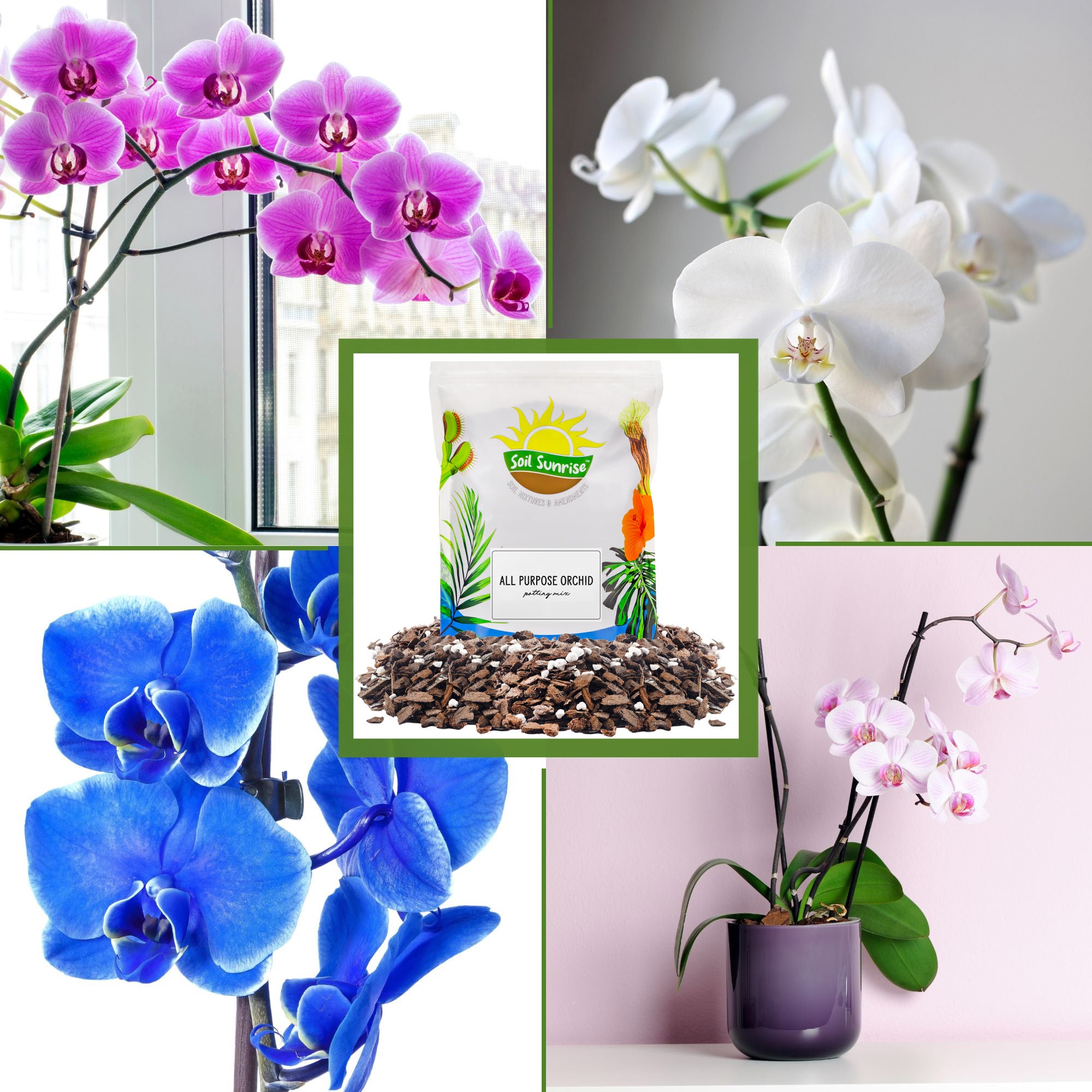 can you use orchid potting mix for other plants All Purpose Orchid Potting Mix, Orchid Bark / Perlite Blend for Moisture Drainage Balance – Kurated Korner