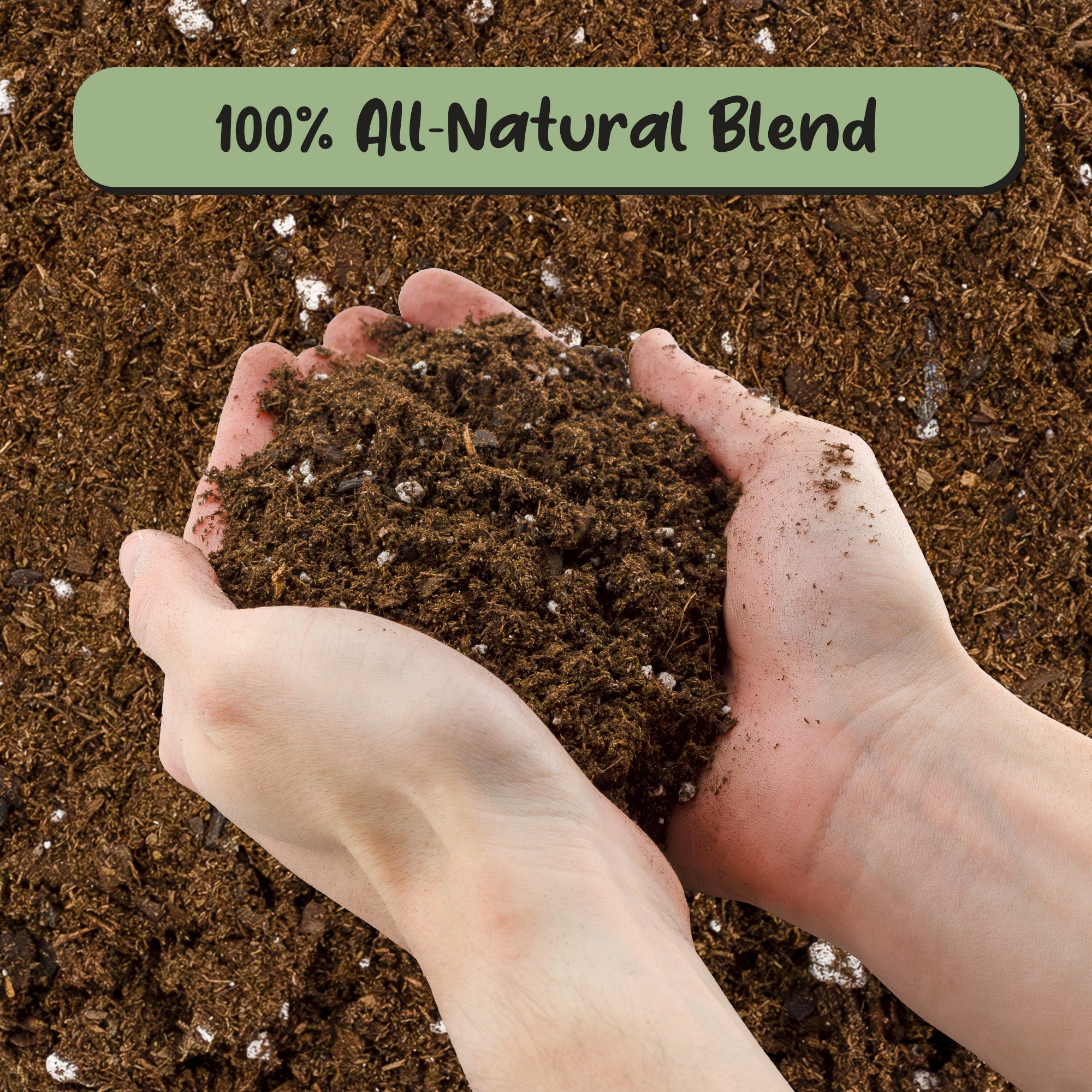 soil mixture for fiddle leaf fig Fiddle Leaf Fig Potting Mix, soil Additive for Potted Fig Trees – Kurated Korner