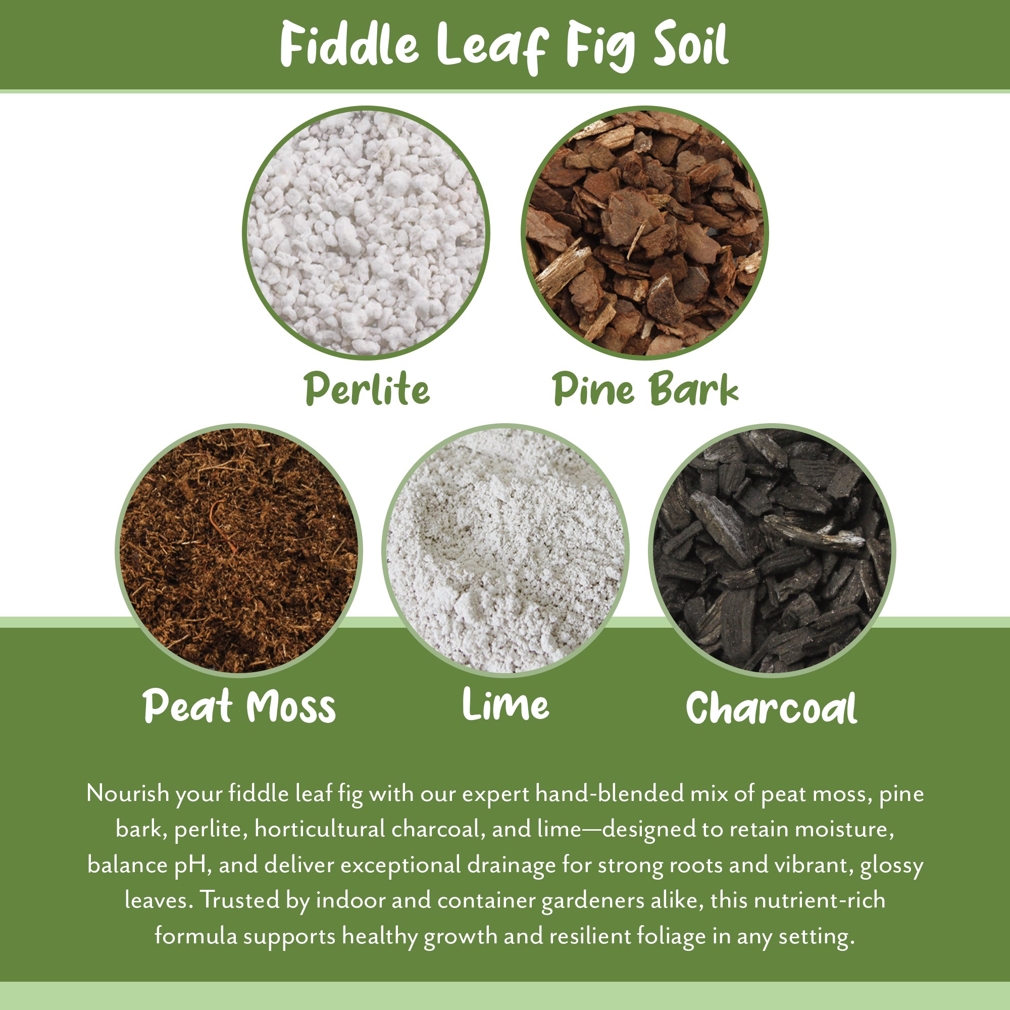 fiddle leaf fig potting mix Fiddle Leaf Fig Potting Mix