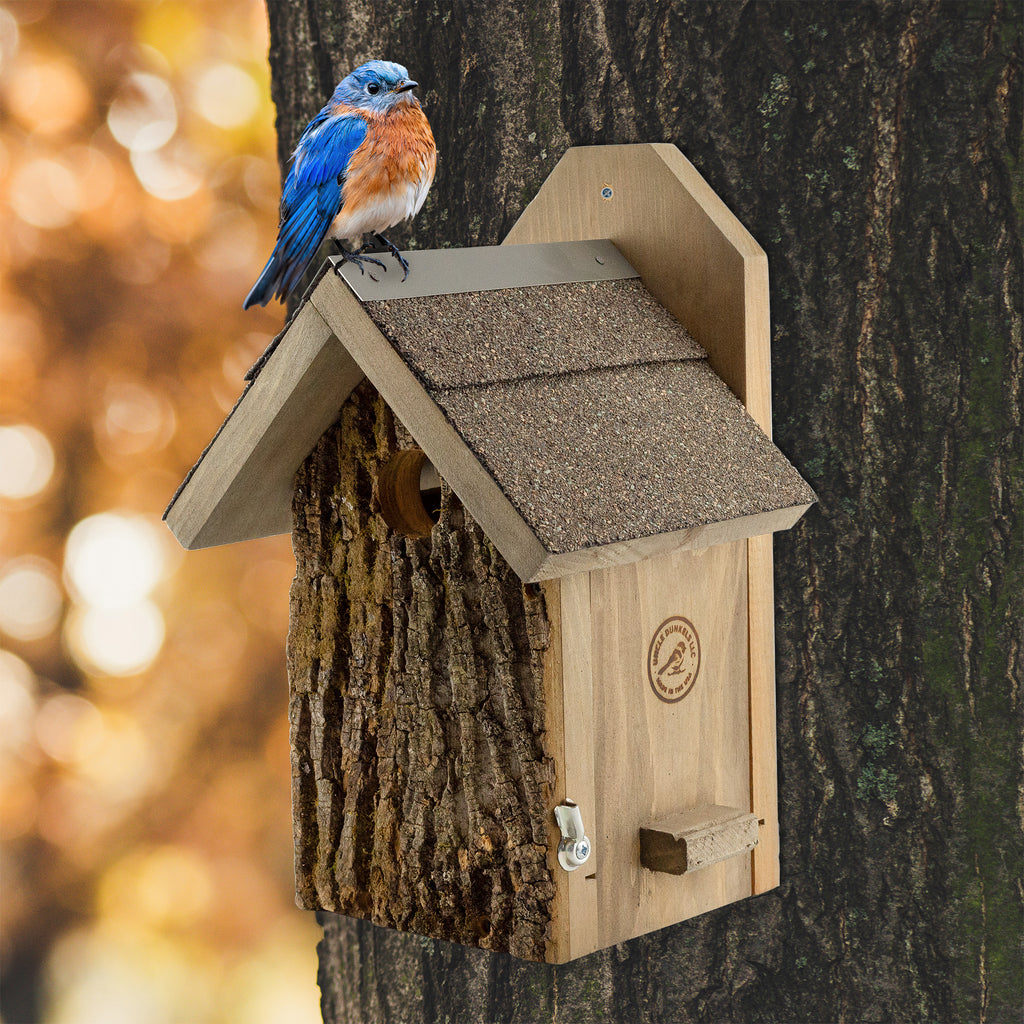 Ultimate Bluebird House - UDKIT002