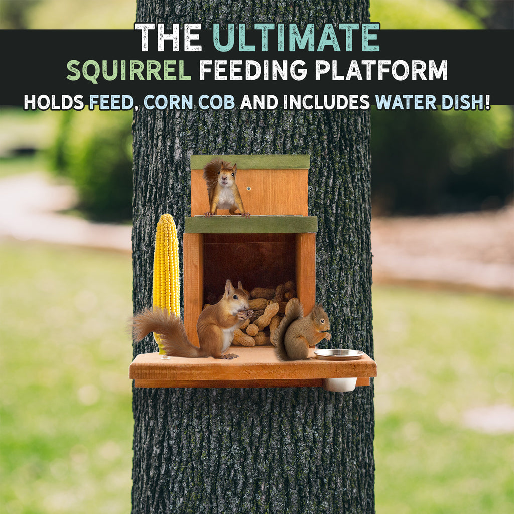 Ultimate Squirrel Munch Box Feeder - UDKIT009
