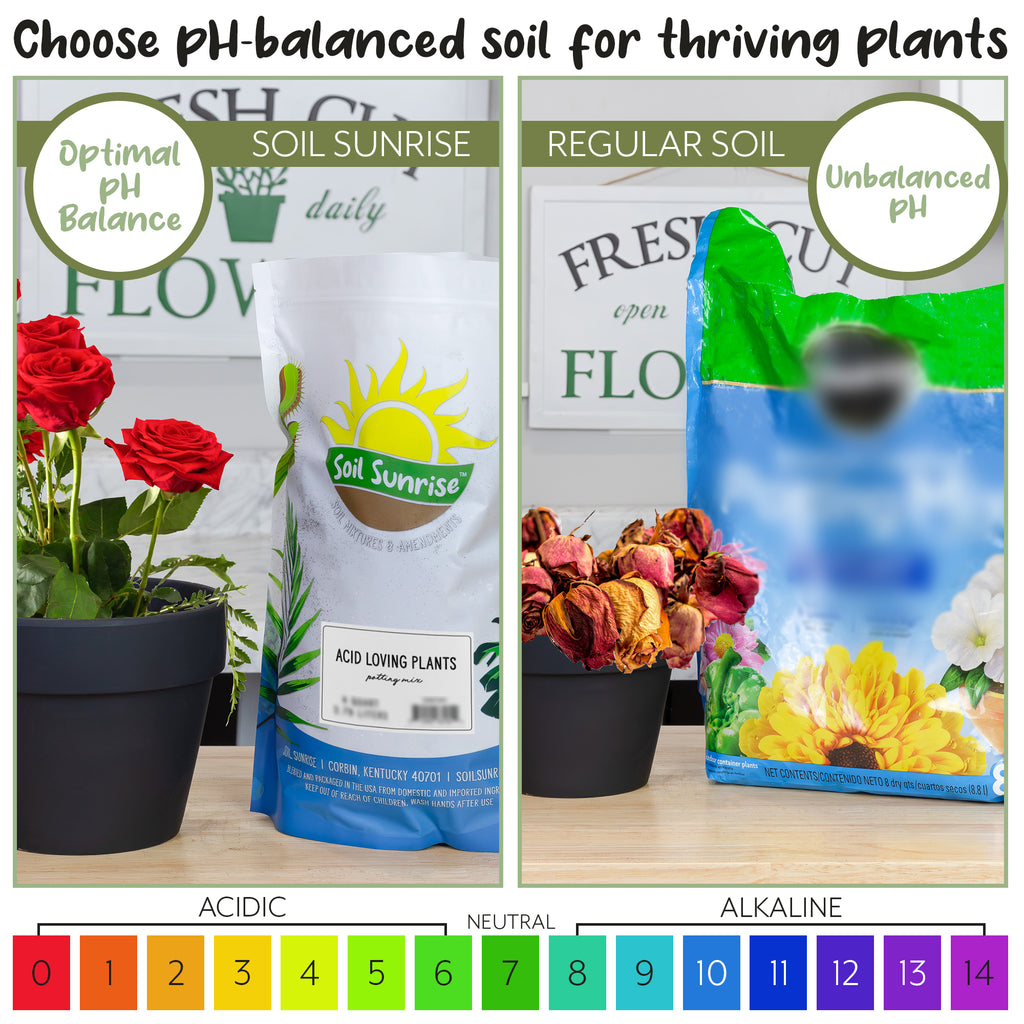 Acid Loving Plant Potting Soil Mix (4 Quarts) - SSKIT291