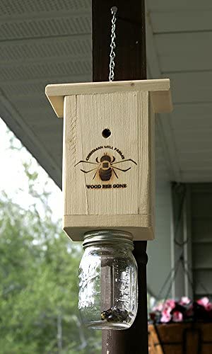 All-Natural Carpenter Bee Trap Lure; 2 Fluid Ounces Pollinator Bee Attractant - UDKIT007